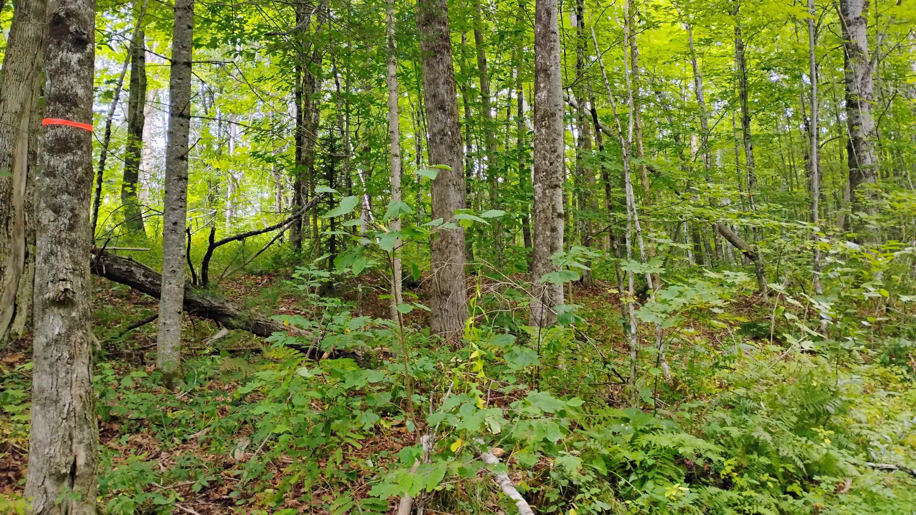 Xx Washburn Road Property Photo 1