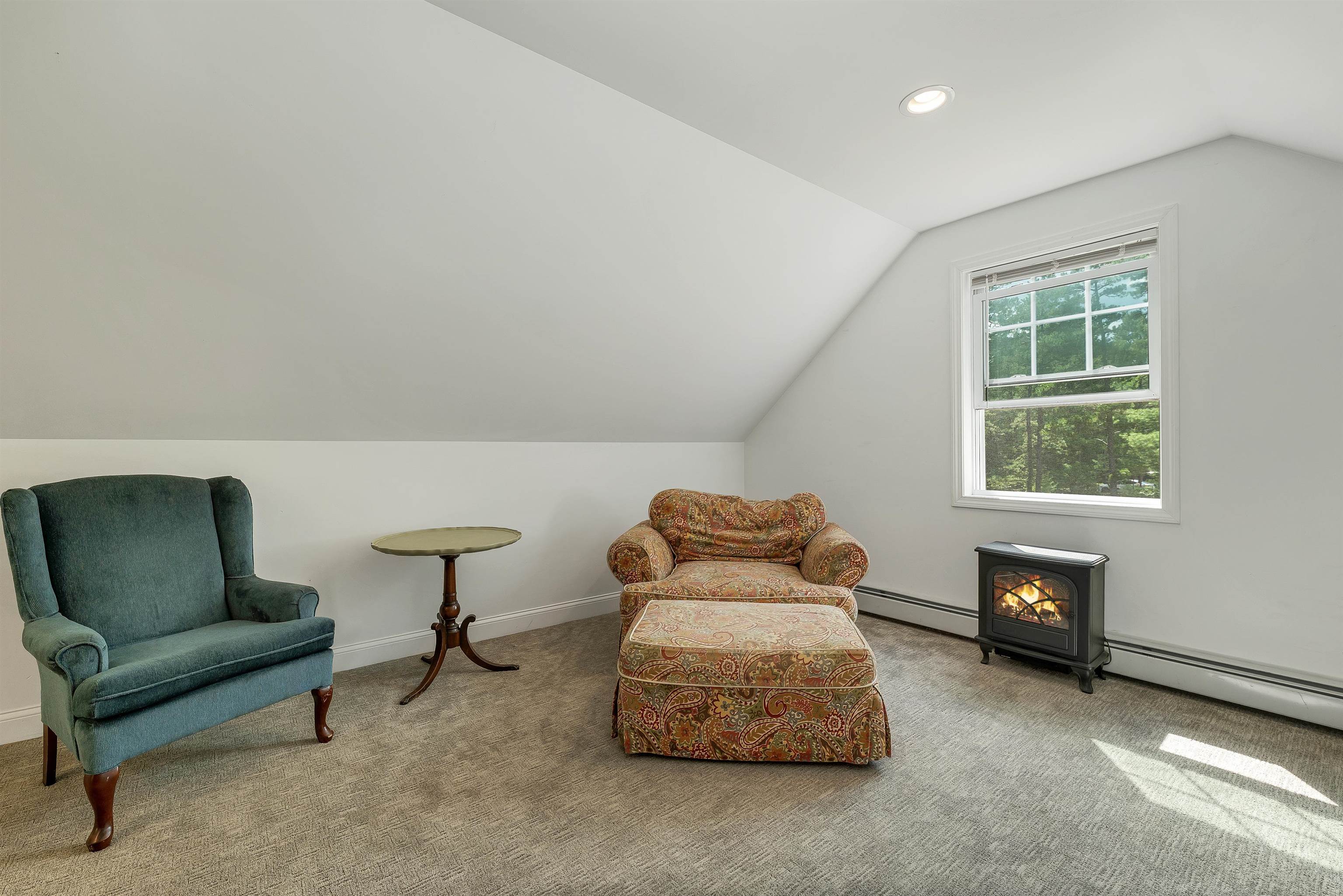 228 Silver Pine Lane Property Photo 32
