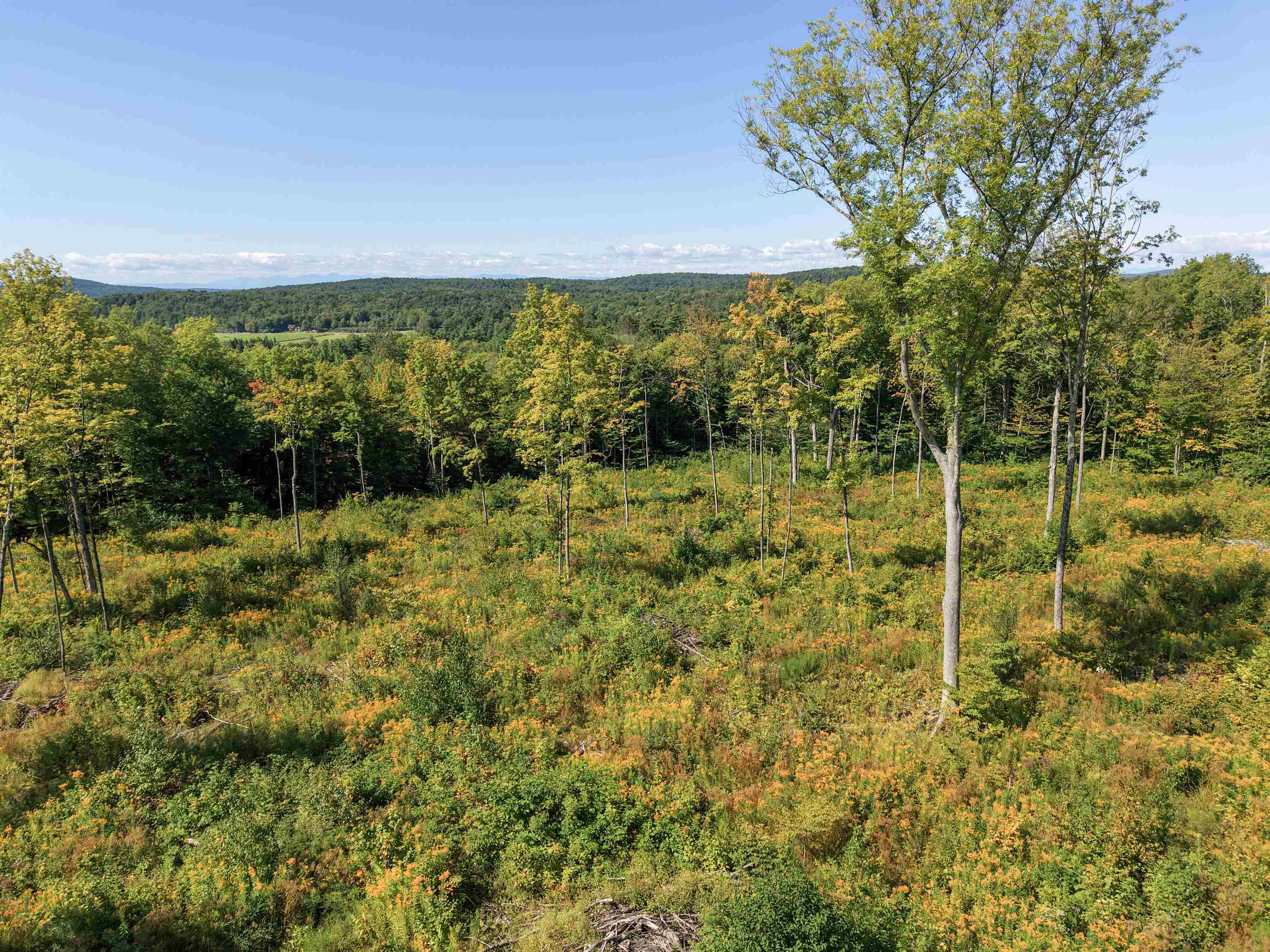 177 Cilley Hill Road Property Photo 1