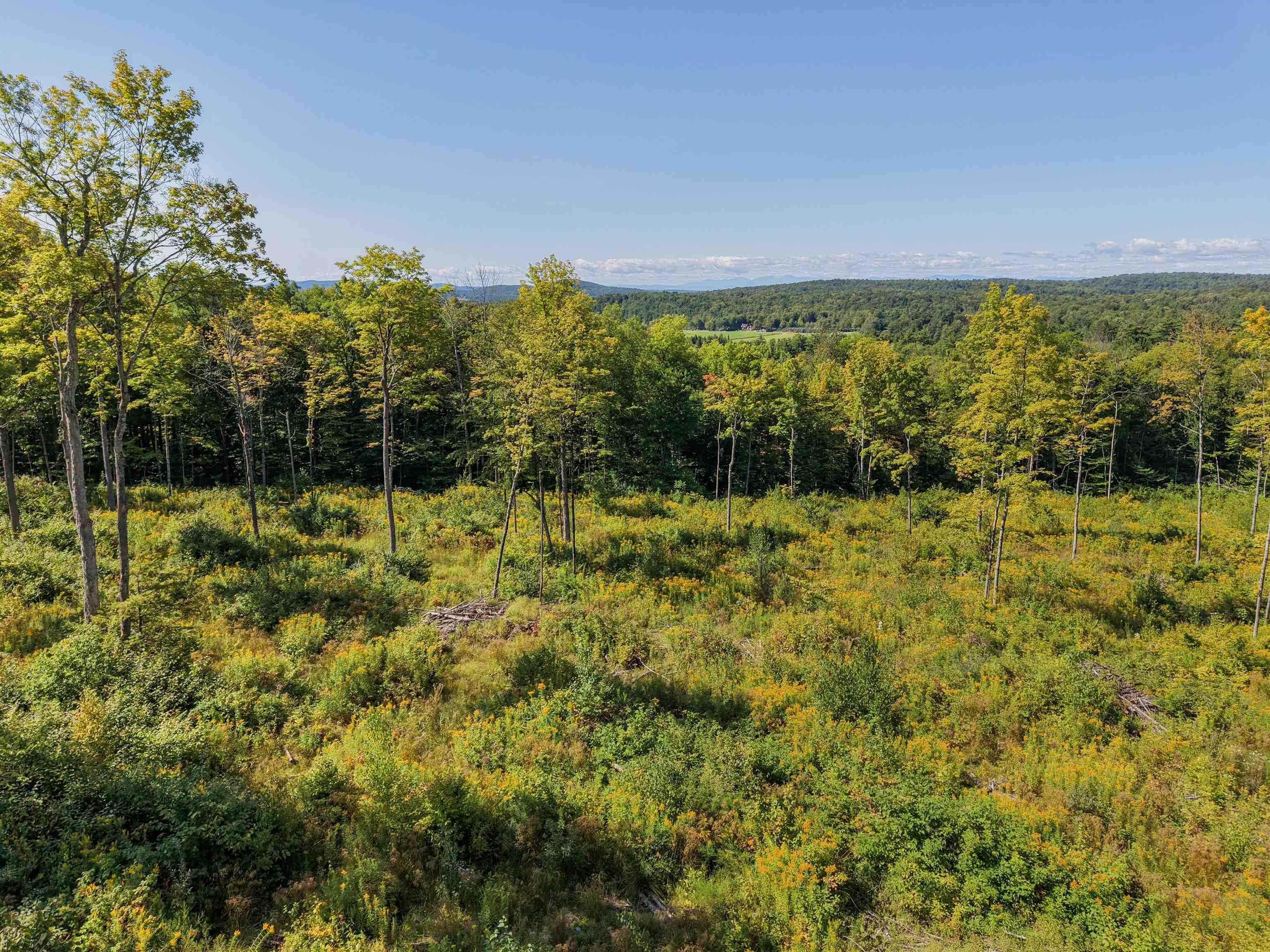 177 Cilley Hill Road Property Photo 2