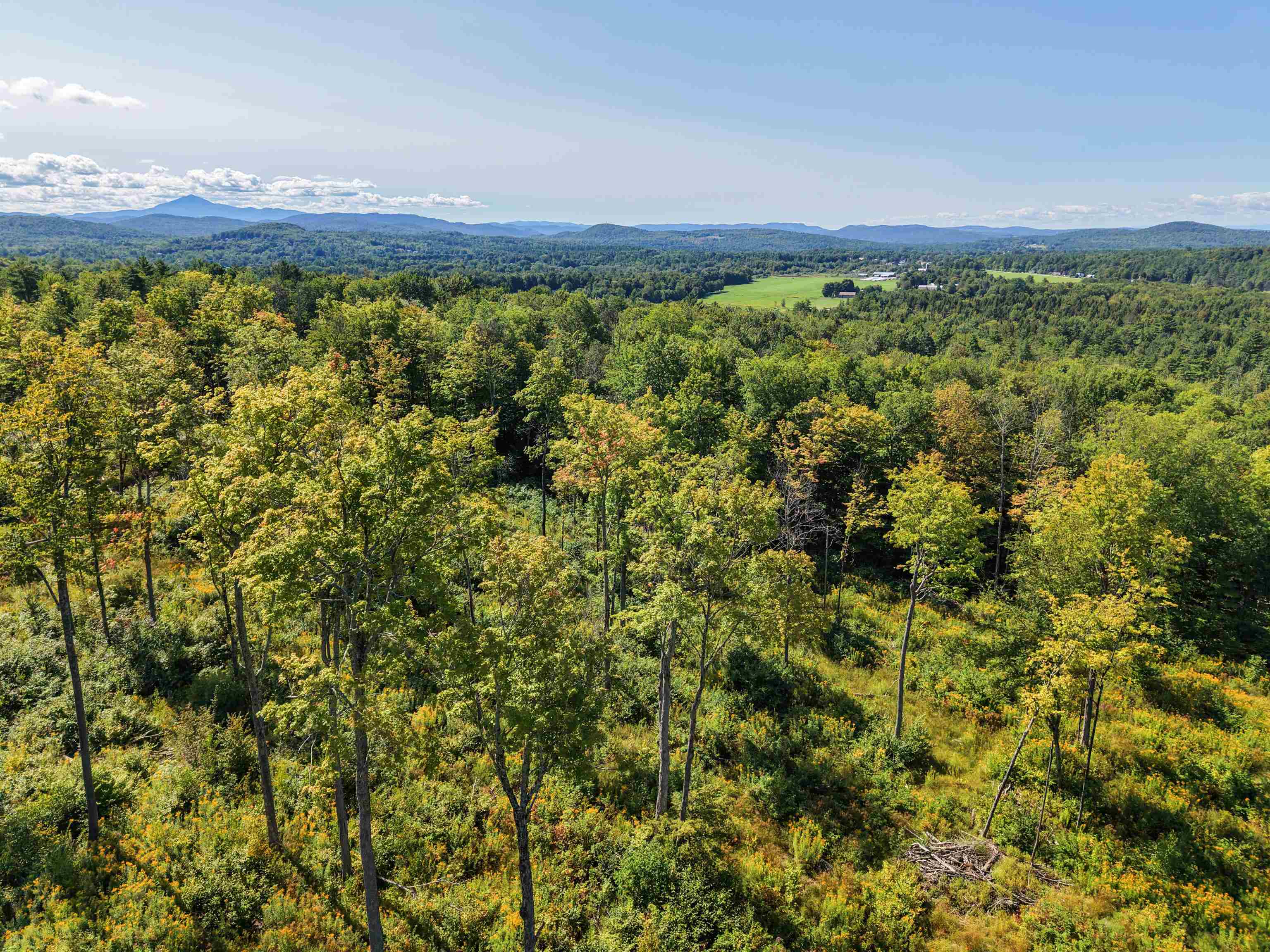 177 Cilley Hill Road Property Photo 3