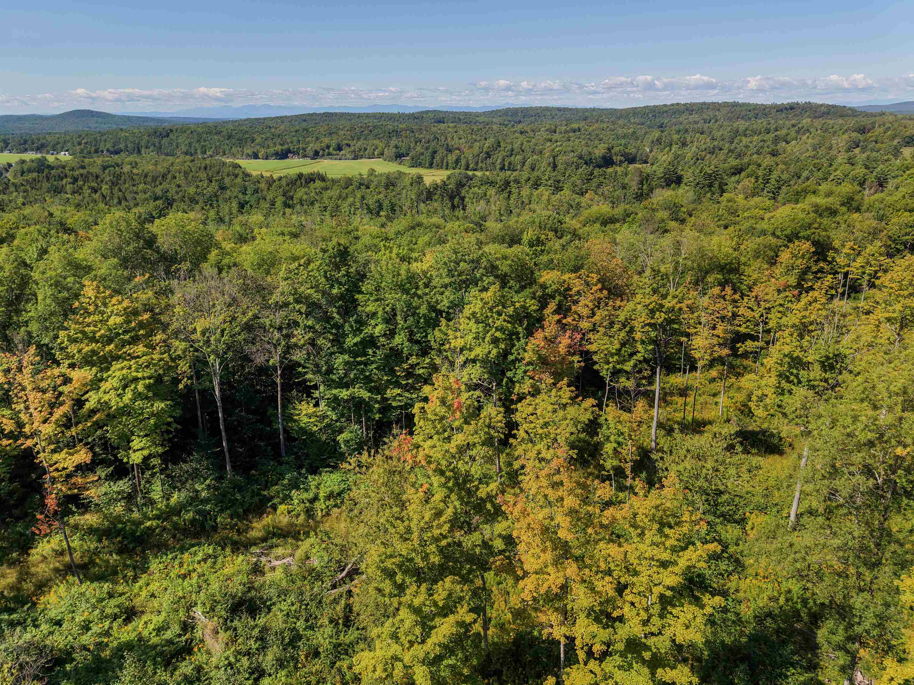 177 Cilley Hill Road Property Photo 6