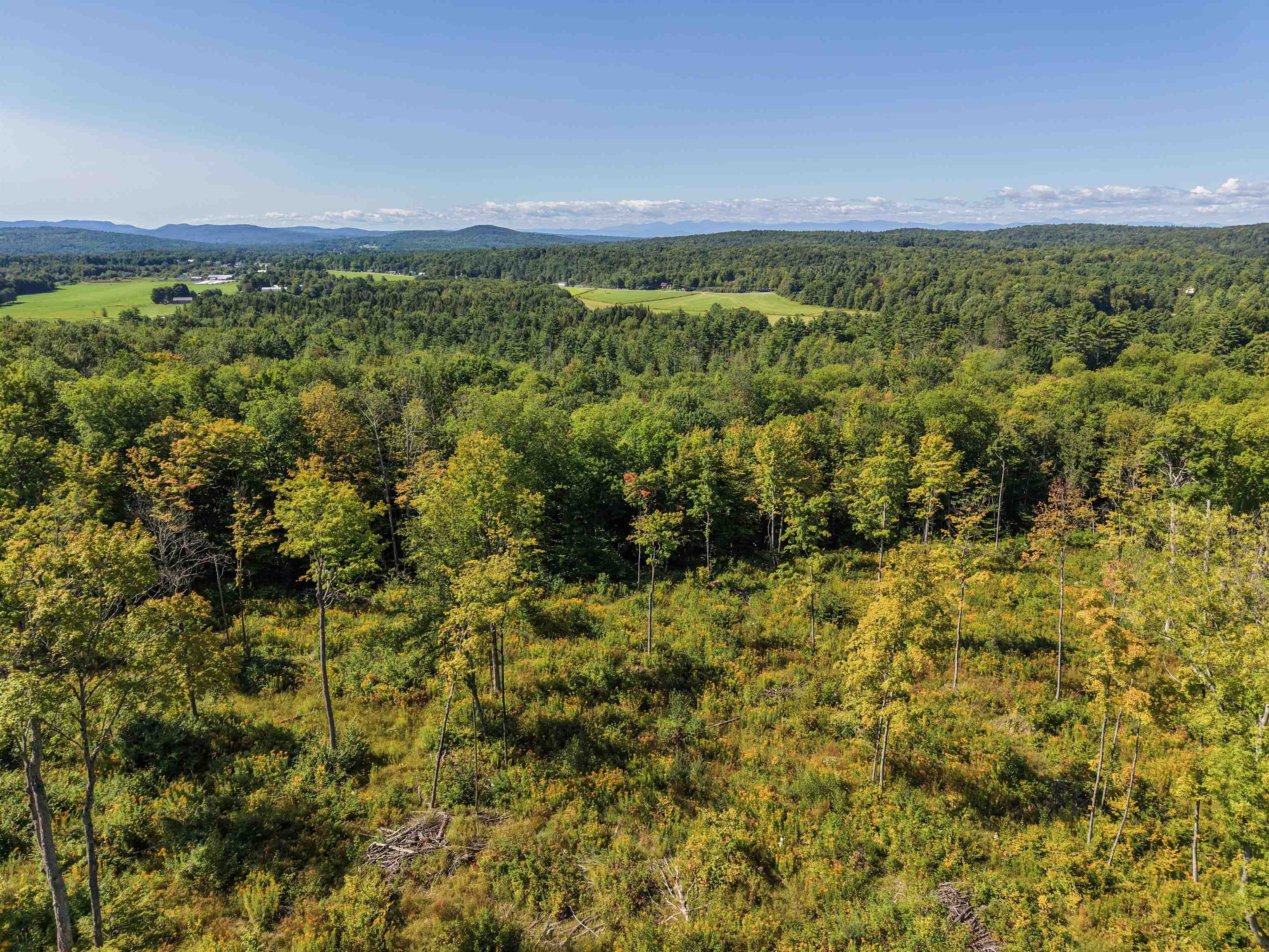 177 Cilley Hill Road Property Photo 11