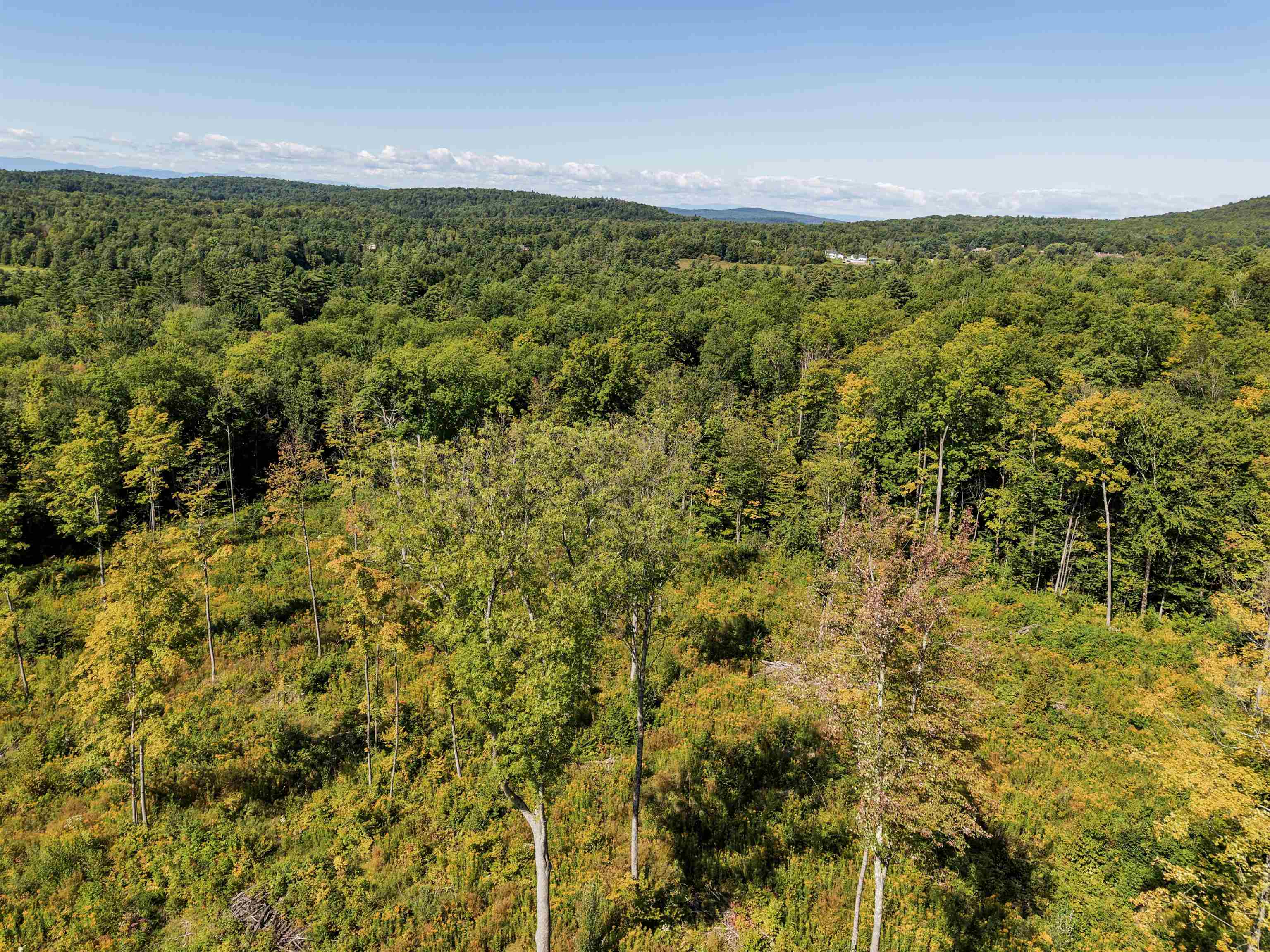 177 Cilley Hill Road Property Photo 13