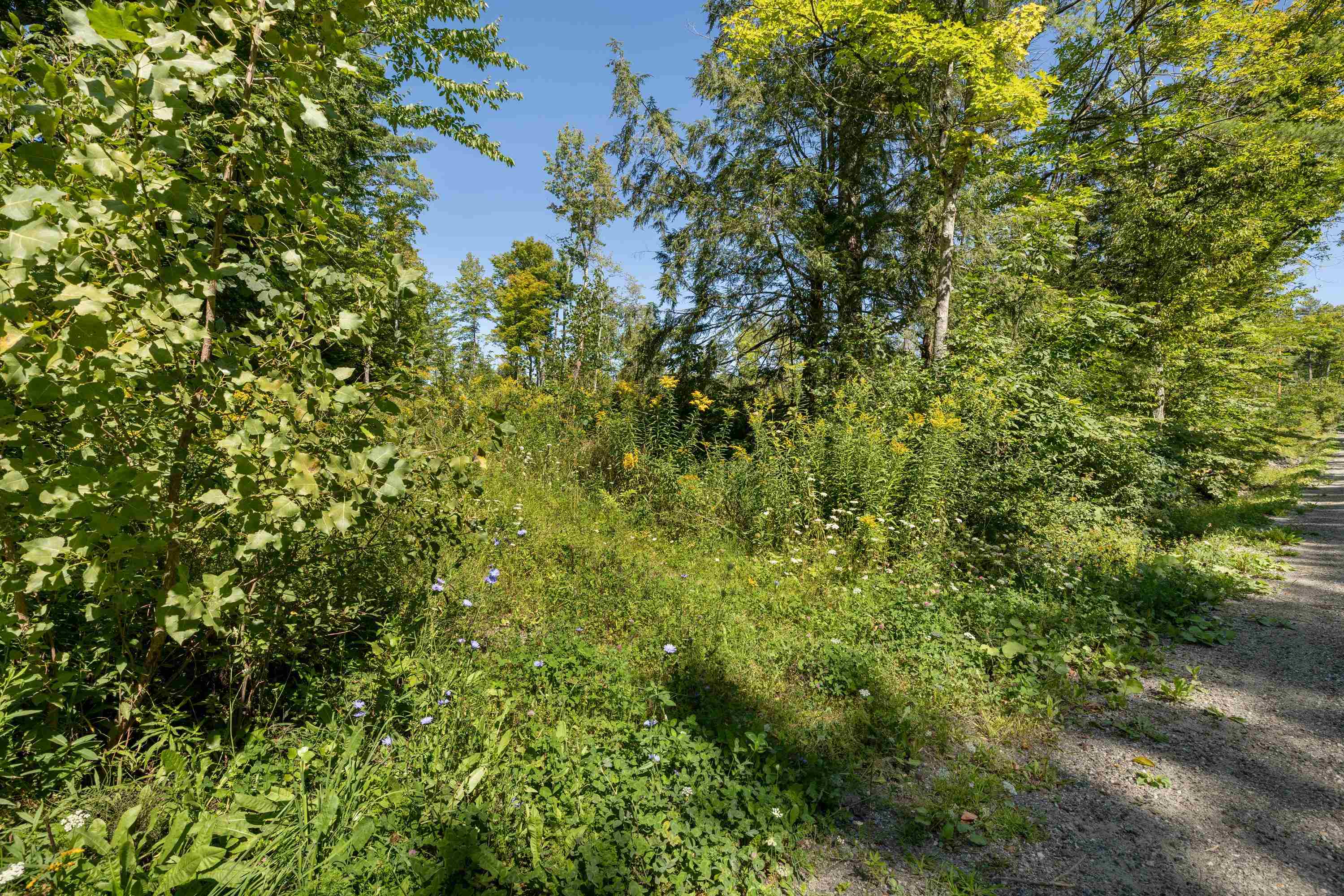 177 Cilley Hill Road Property Photo 14