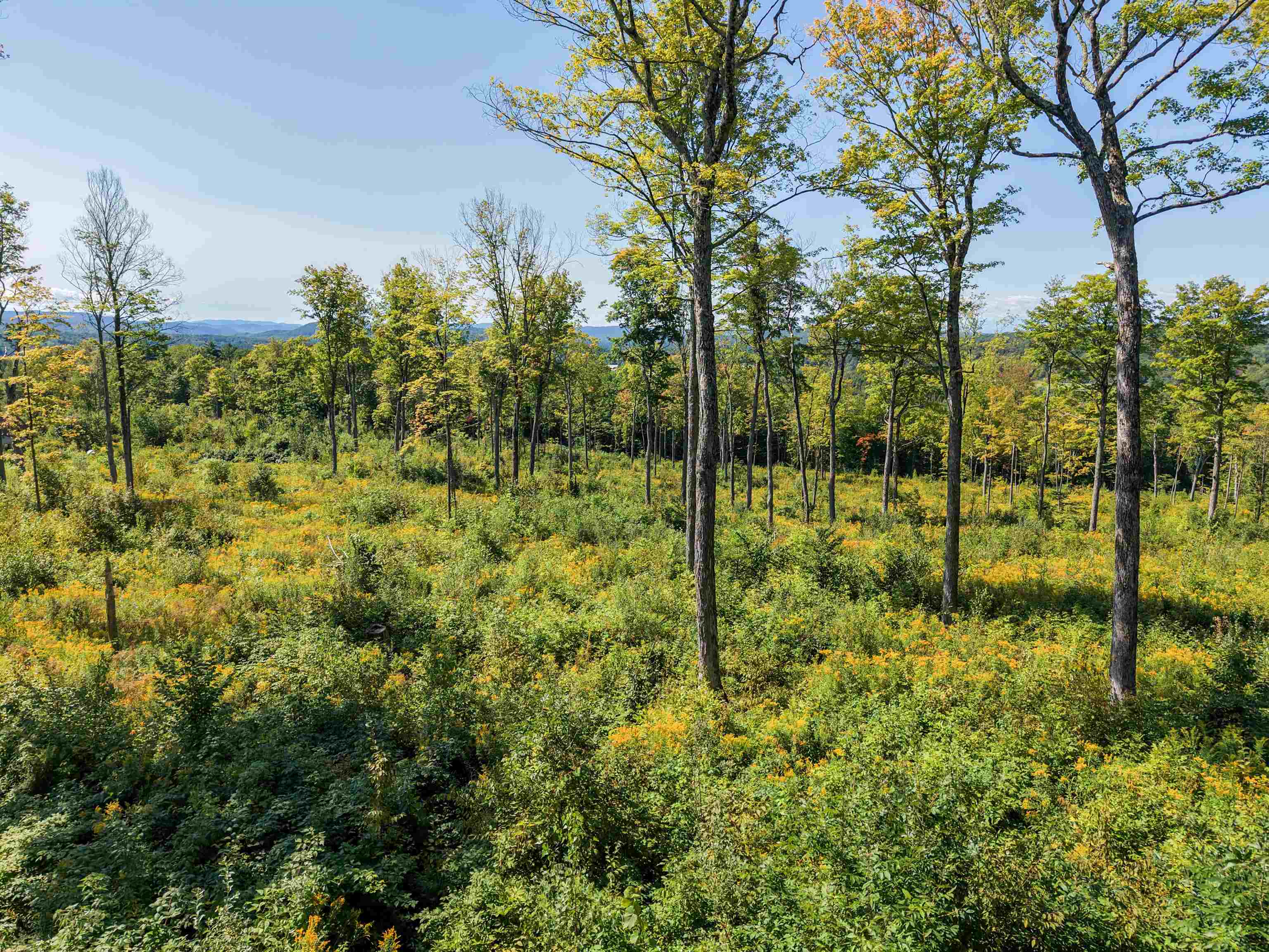 177 Cilley Hill Road Property Photo 1