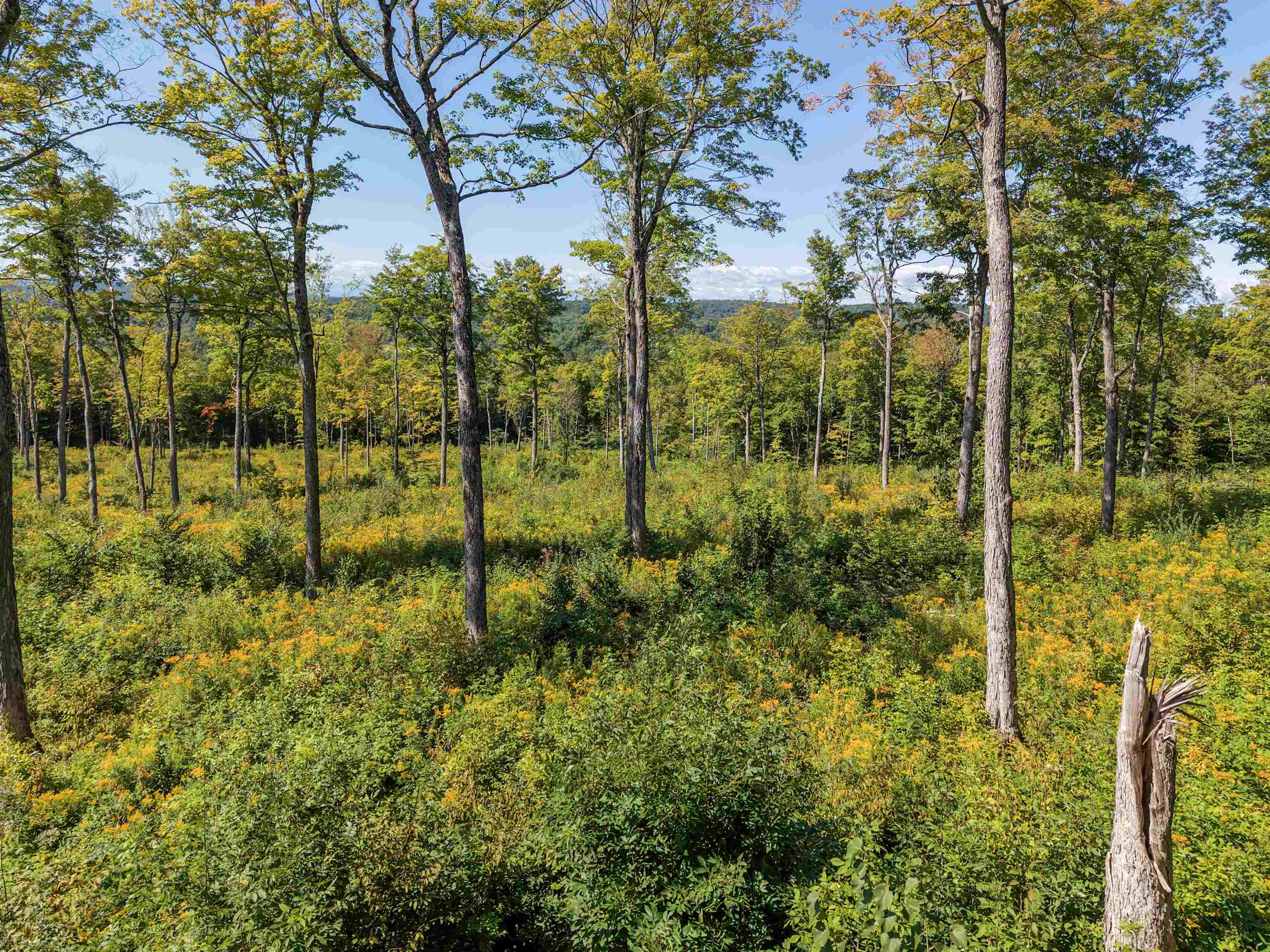 177 Cilley Hill Road Property Photo 3