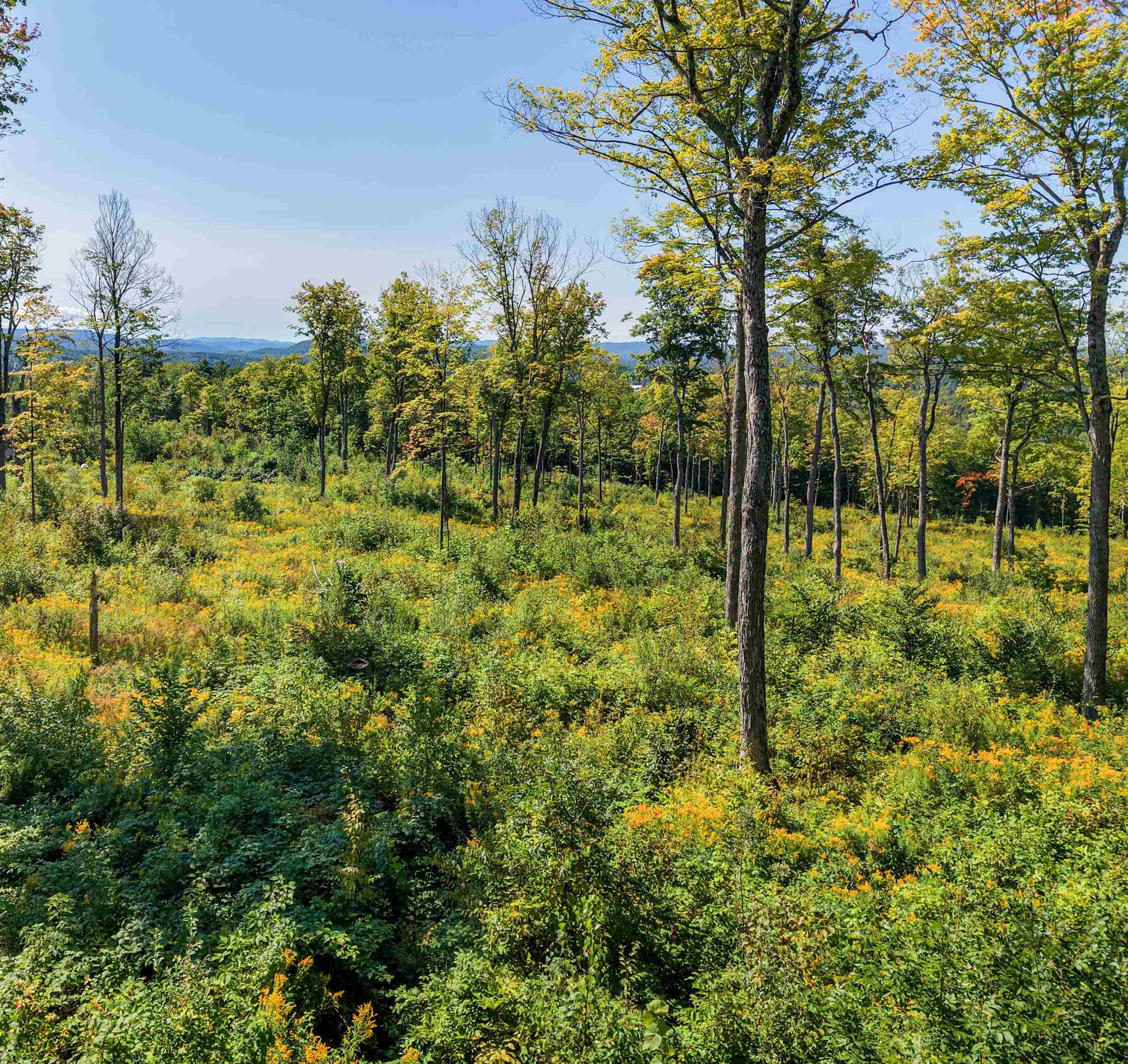 177 Cilley Hill Road Property Photo 4