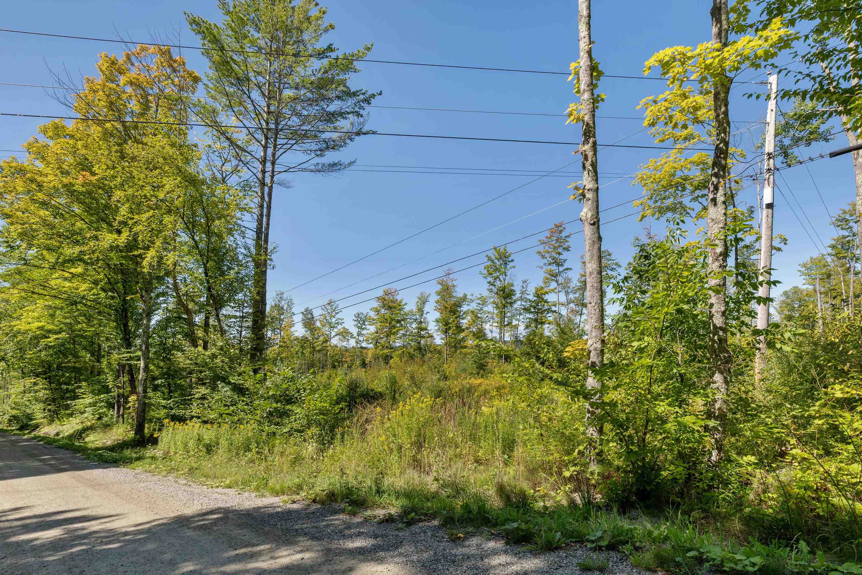 177 Cilley Hill Road Property Photo 12