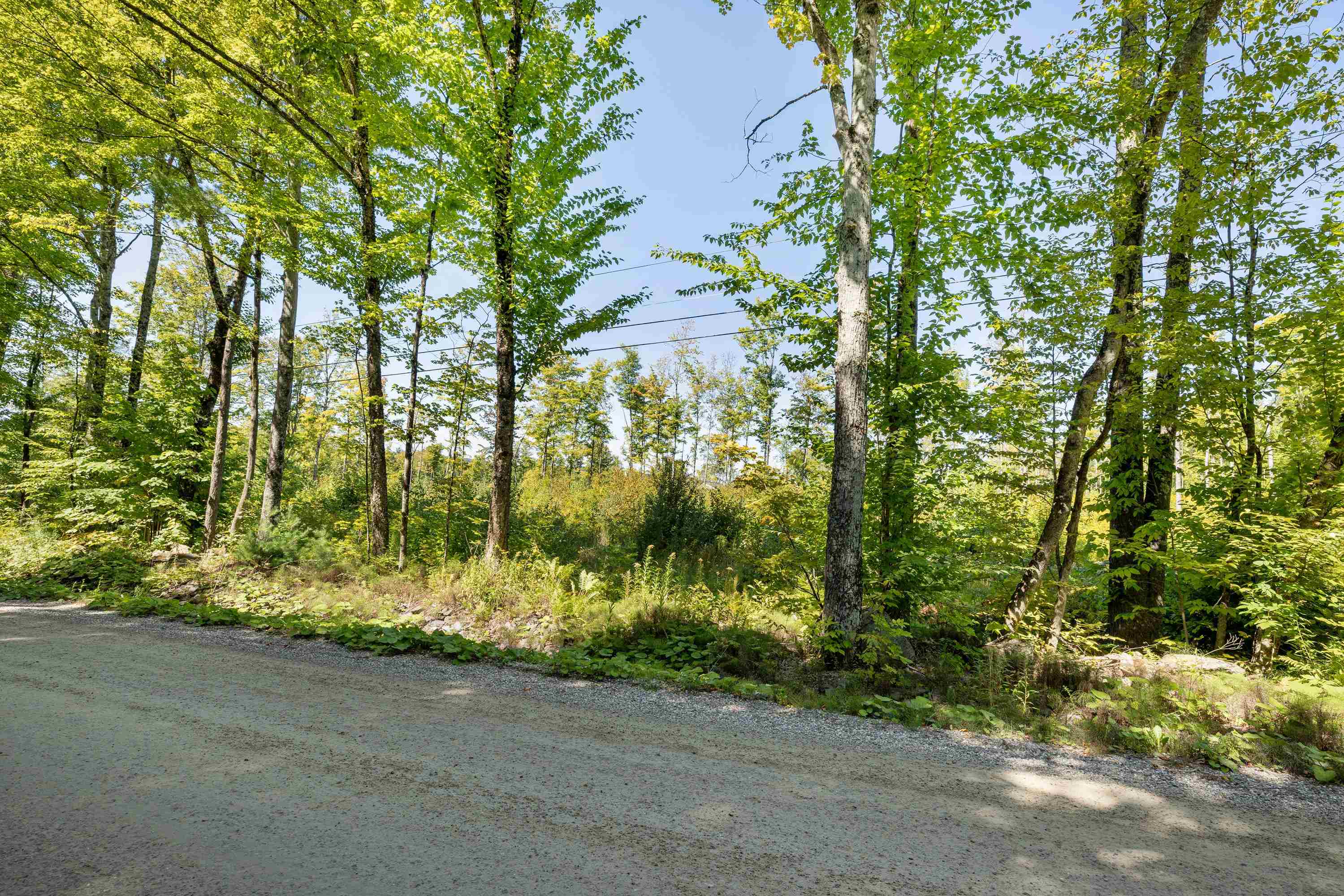 177 Cilley Hill Road Property Photo 13