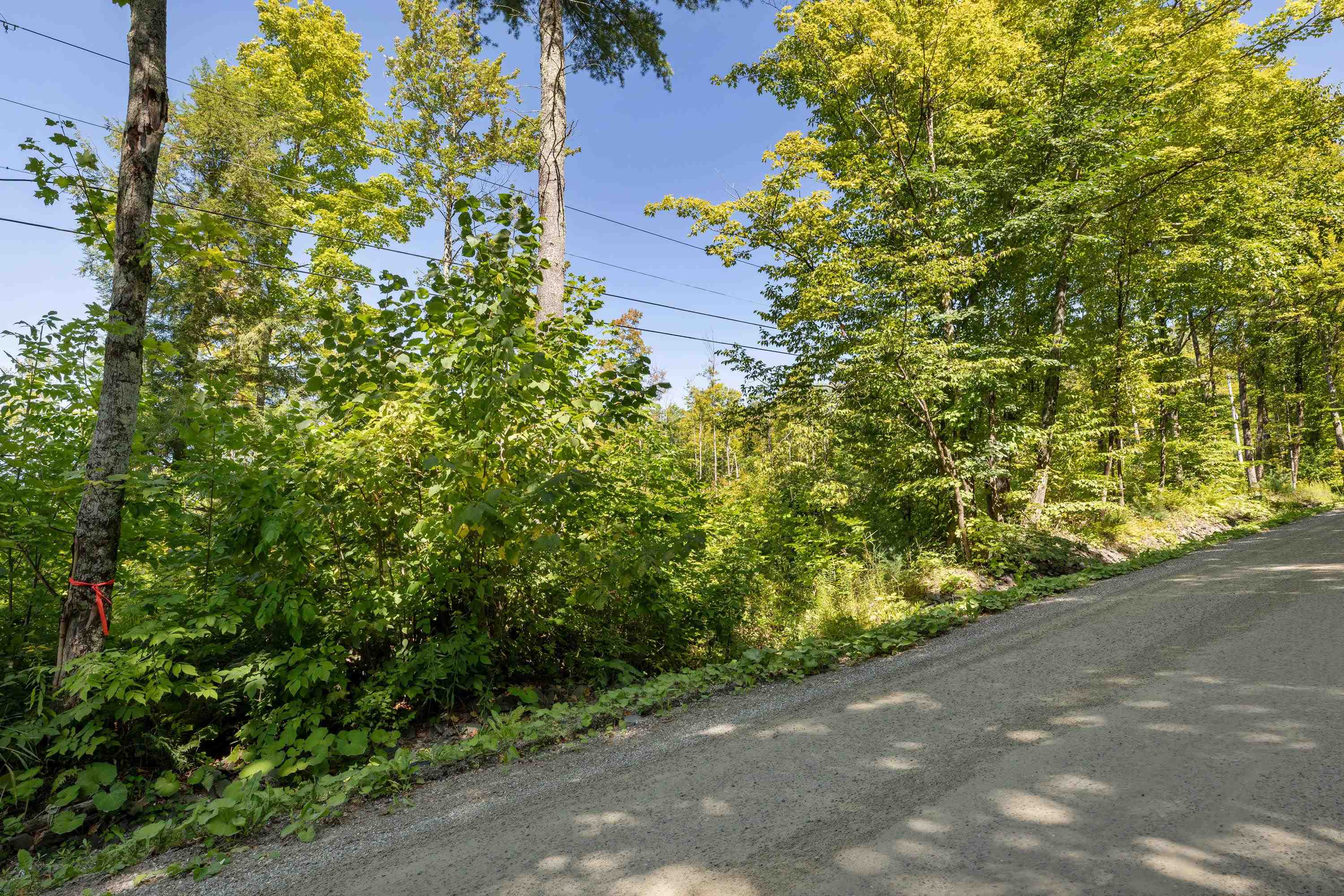 177 Cilley Hill Road Property Photo 20