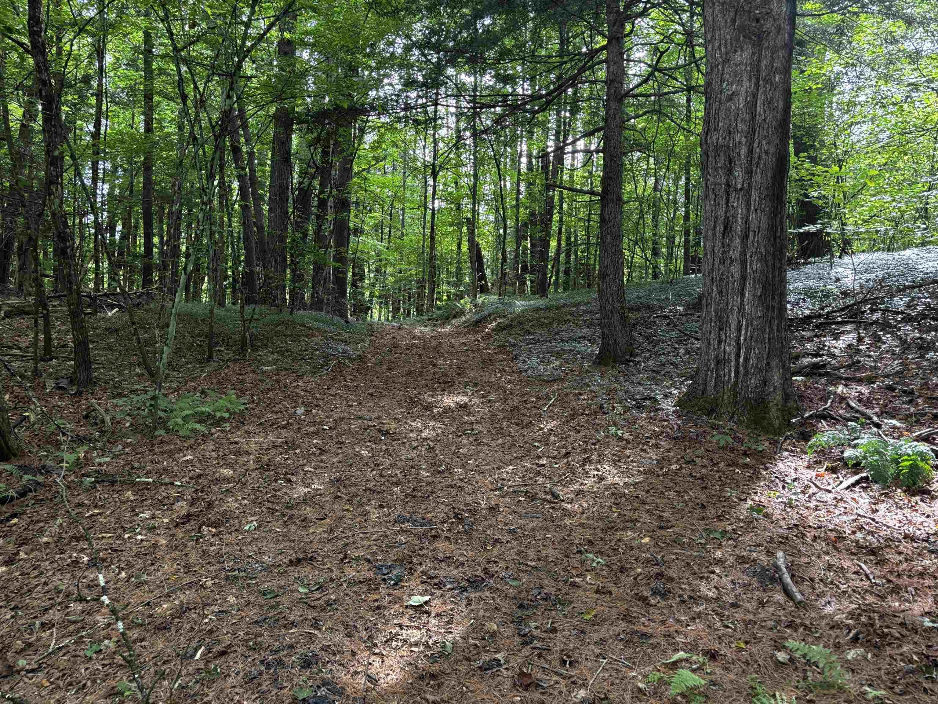 40 E Putney Brook Road Property Photo 2