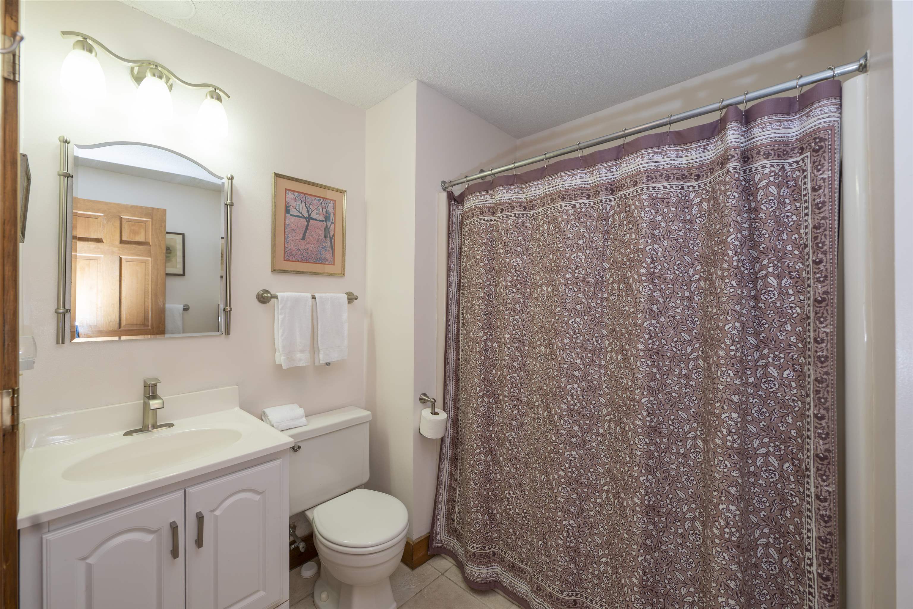 253 Old Quechee Road Property Photo 19