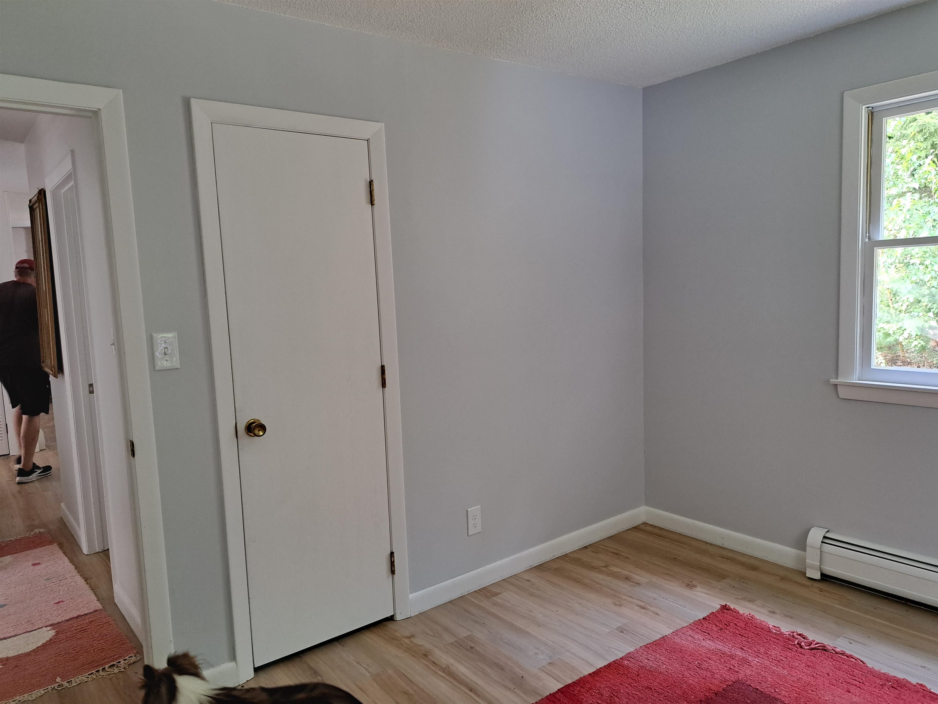 10 Alexander Avenue Property Photo 11
