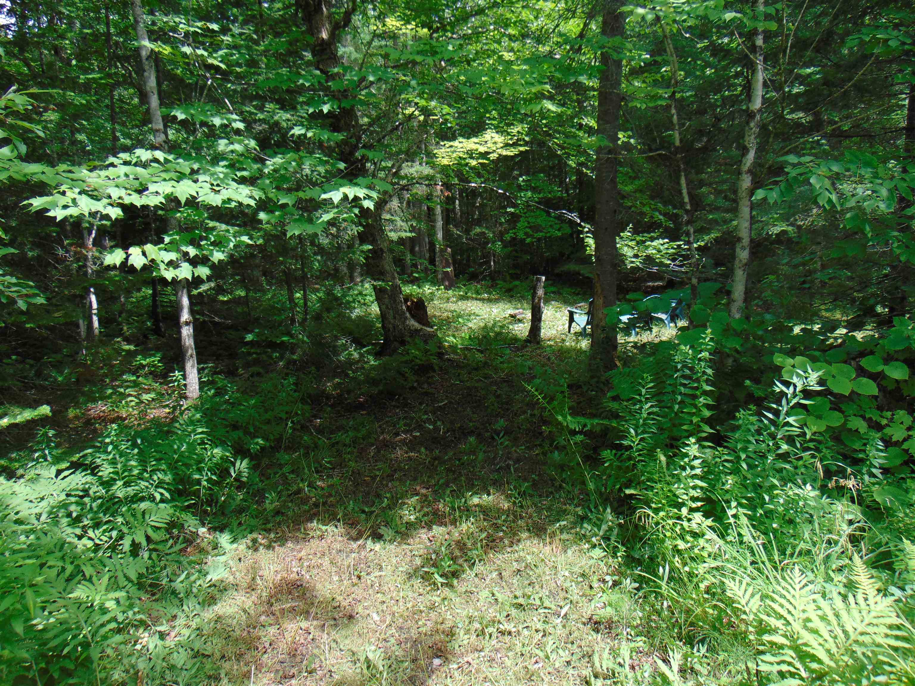 2064 Coles Pond Road Property Photo 21