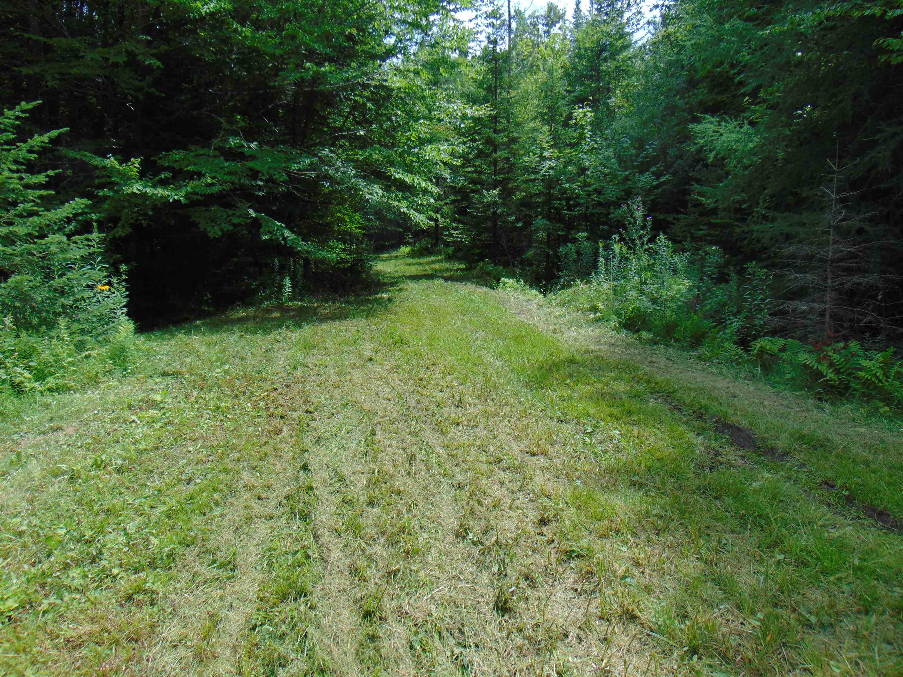 2064 Coles Pond Road Property Photo 22