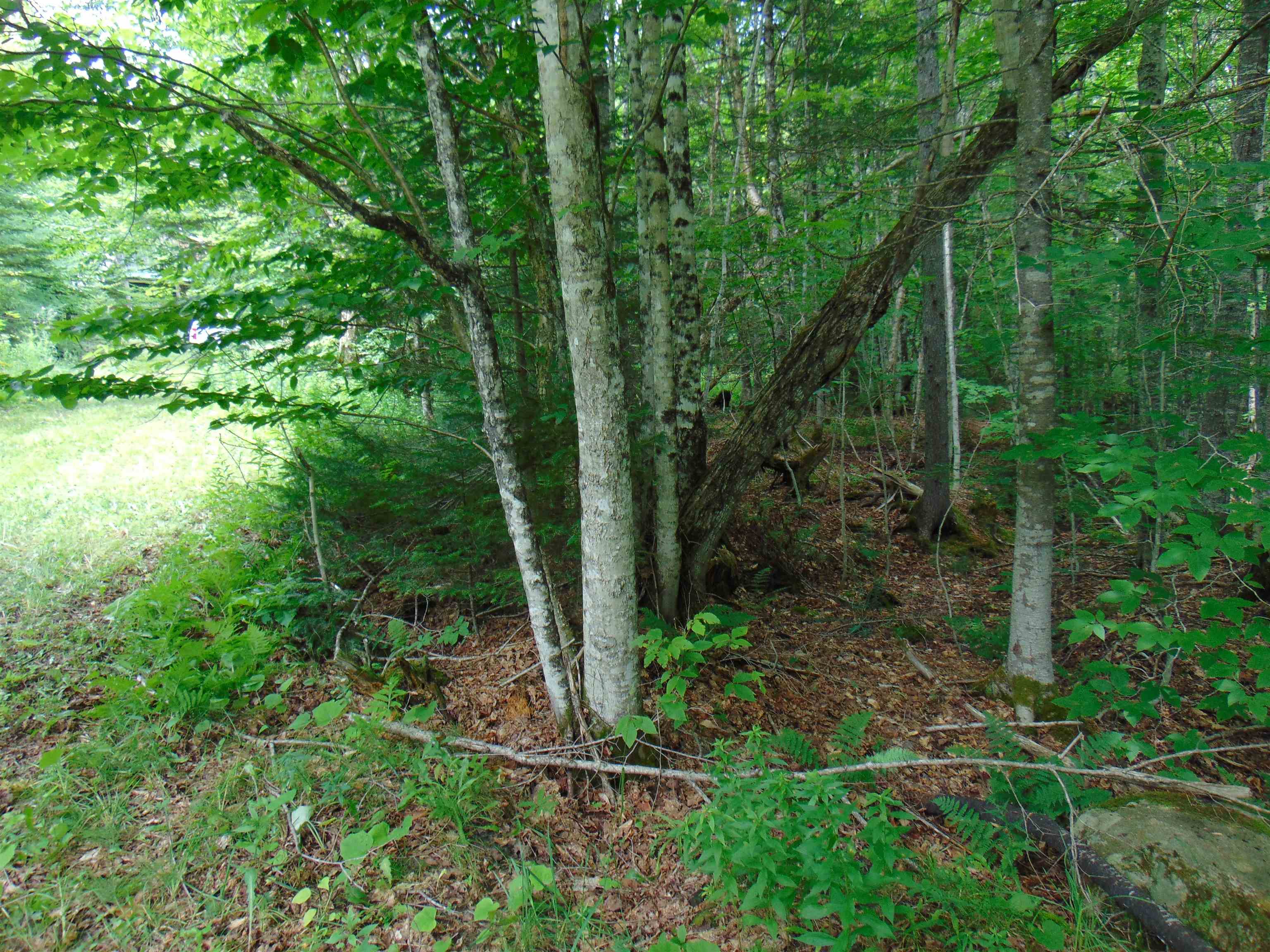 2064 Coles Pond Road Property Photo 23