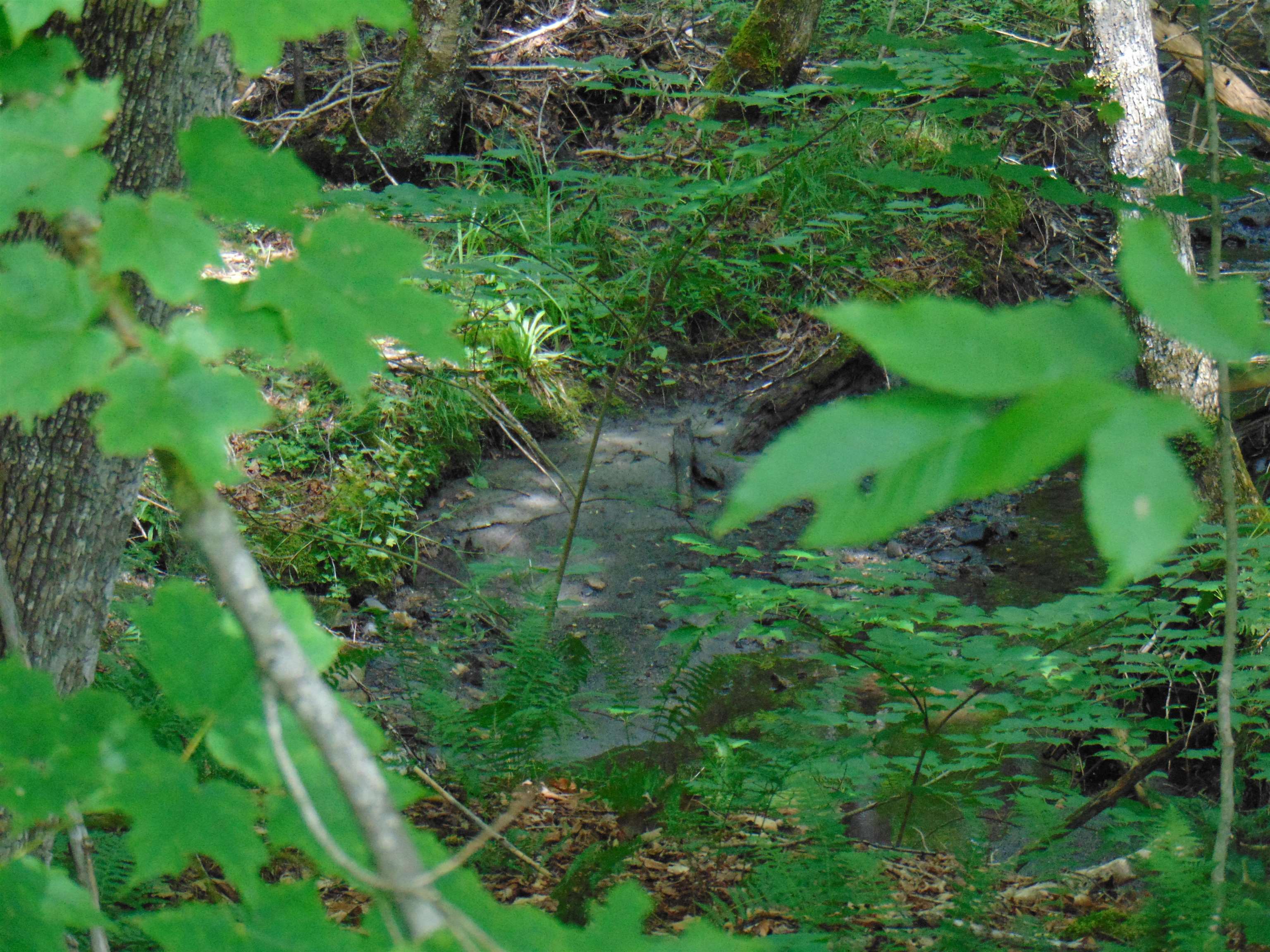 2064 Coles Pond Road Property Photo 24