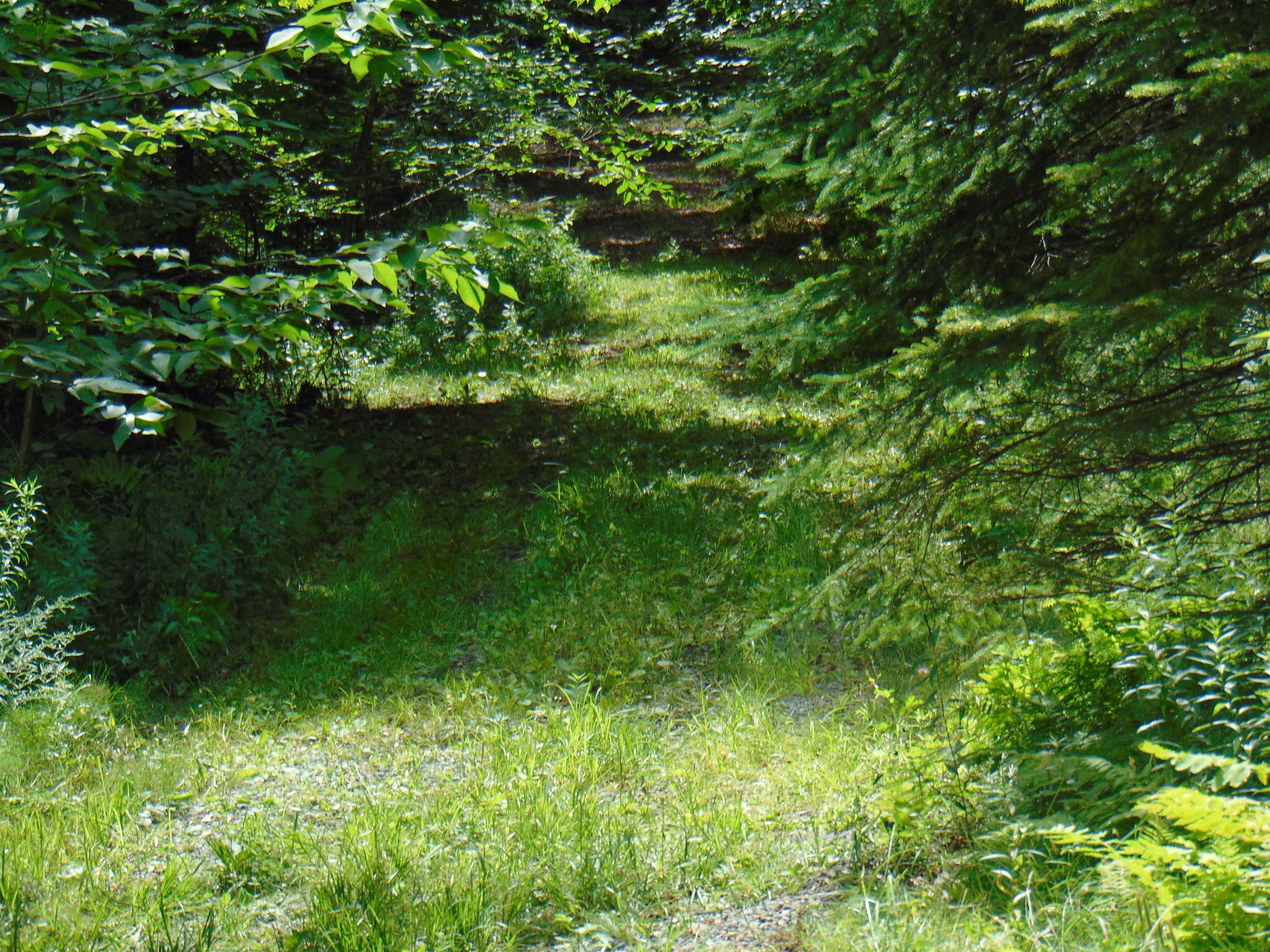 2064 Coles Pond Road Property Photo 25