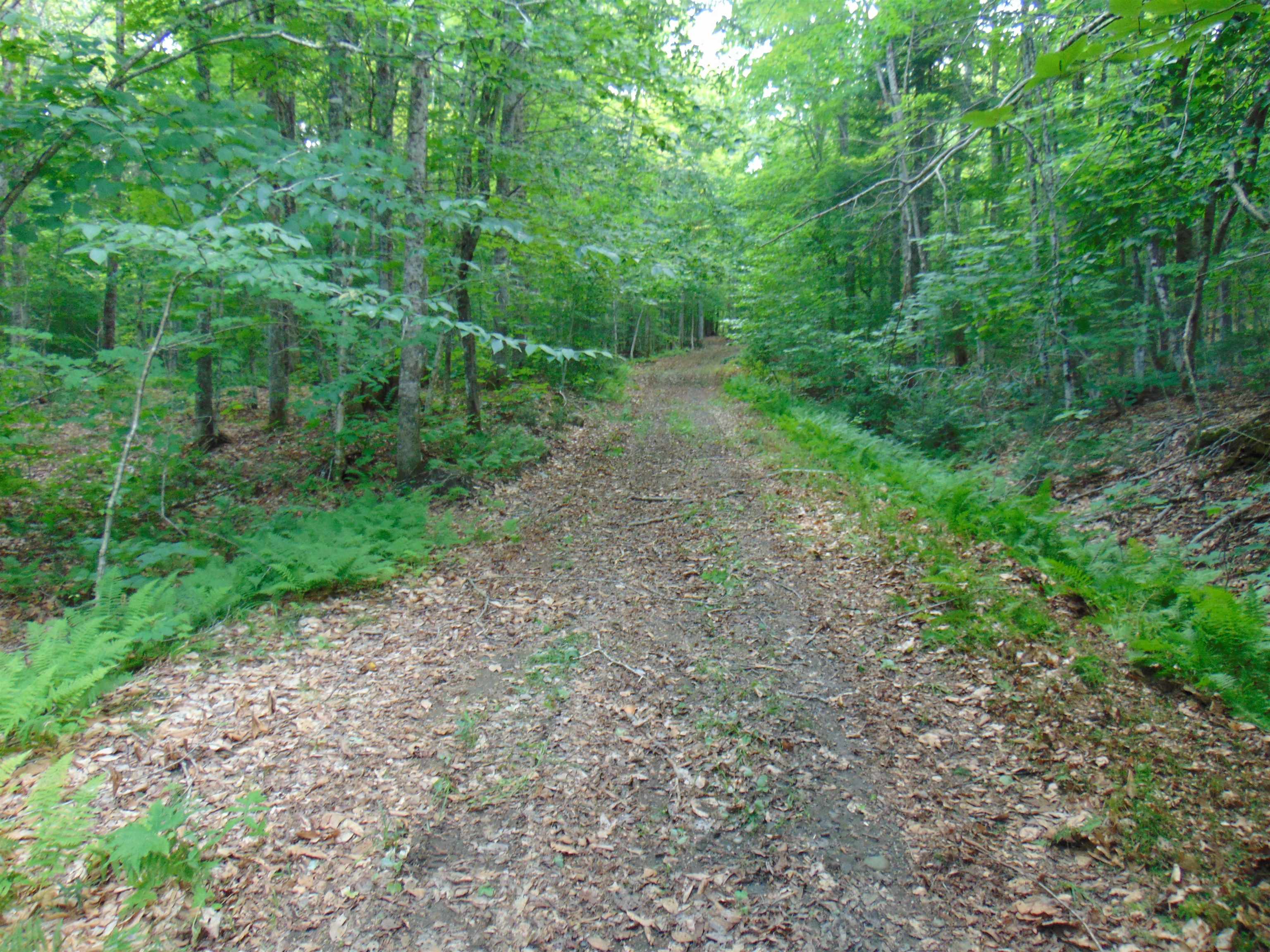 2064 Coles Pond Road Property Photo 26