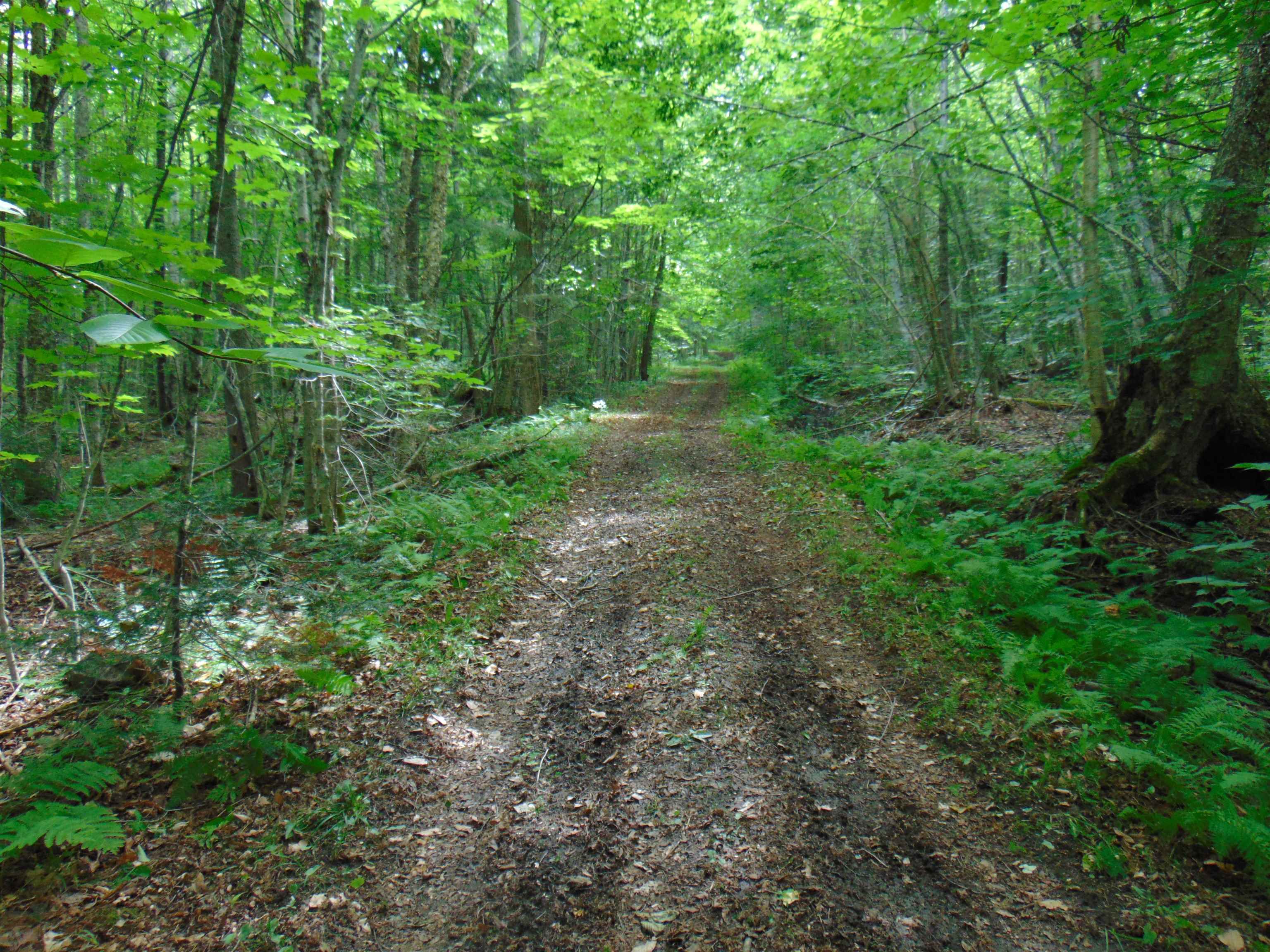 2064 Coles Pond Road Property Photo 27