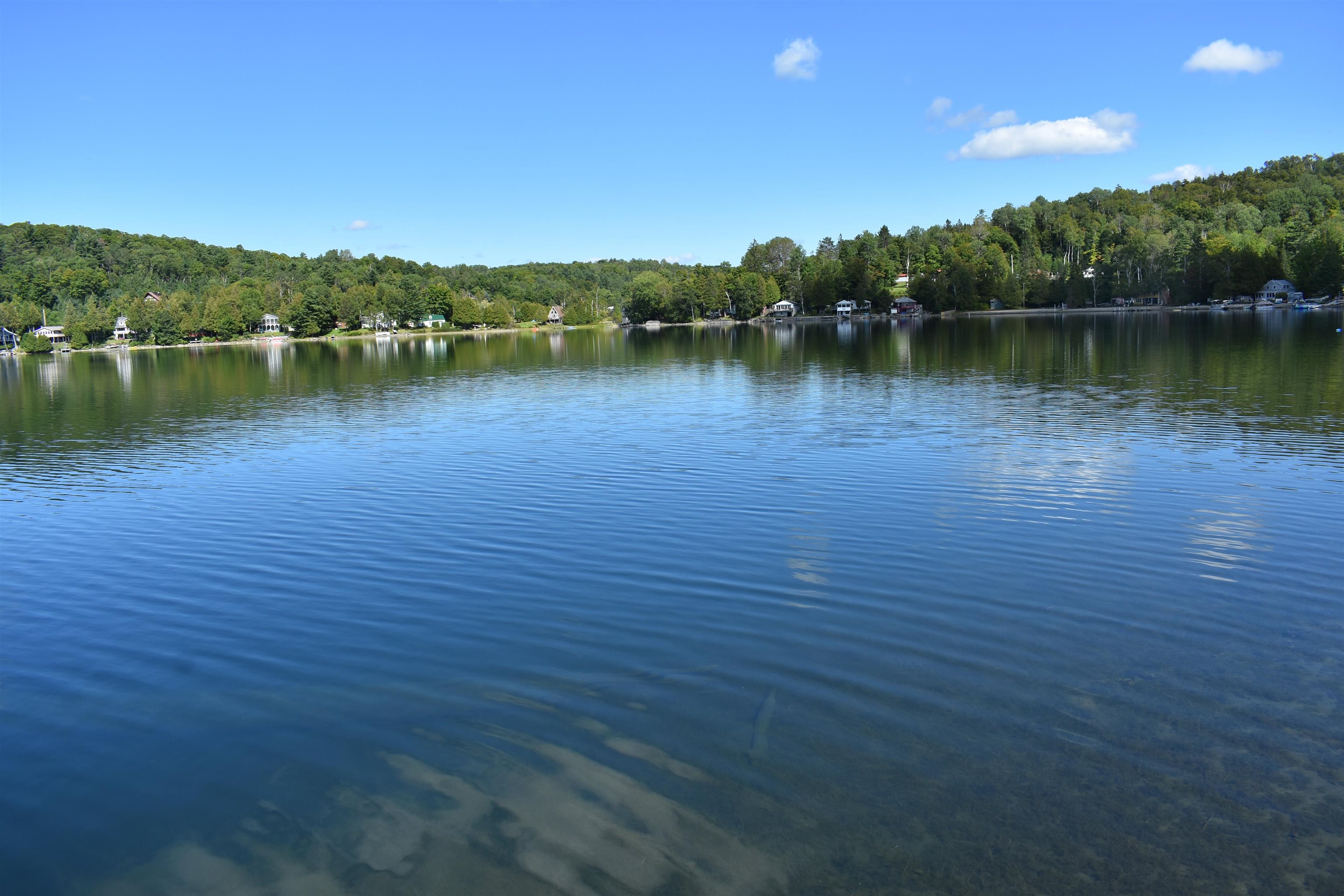 1427 Shadow Lake Road Property Photo 4