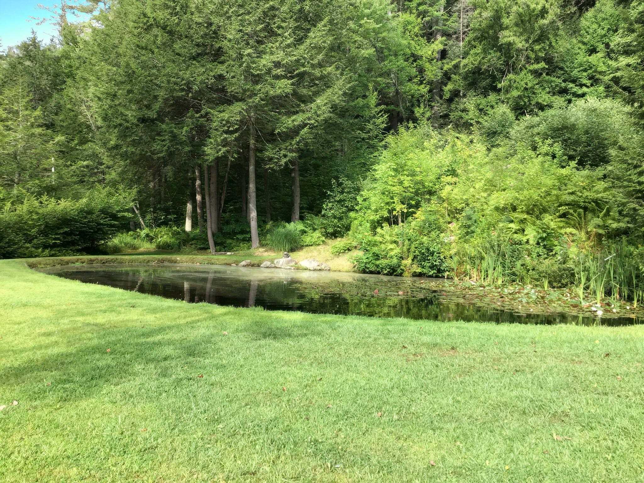 58 Hi Hopes Road Property Photo 32