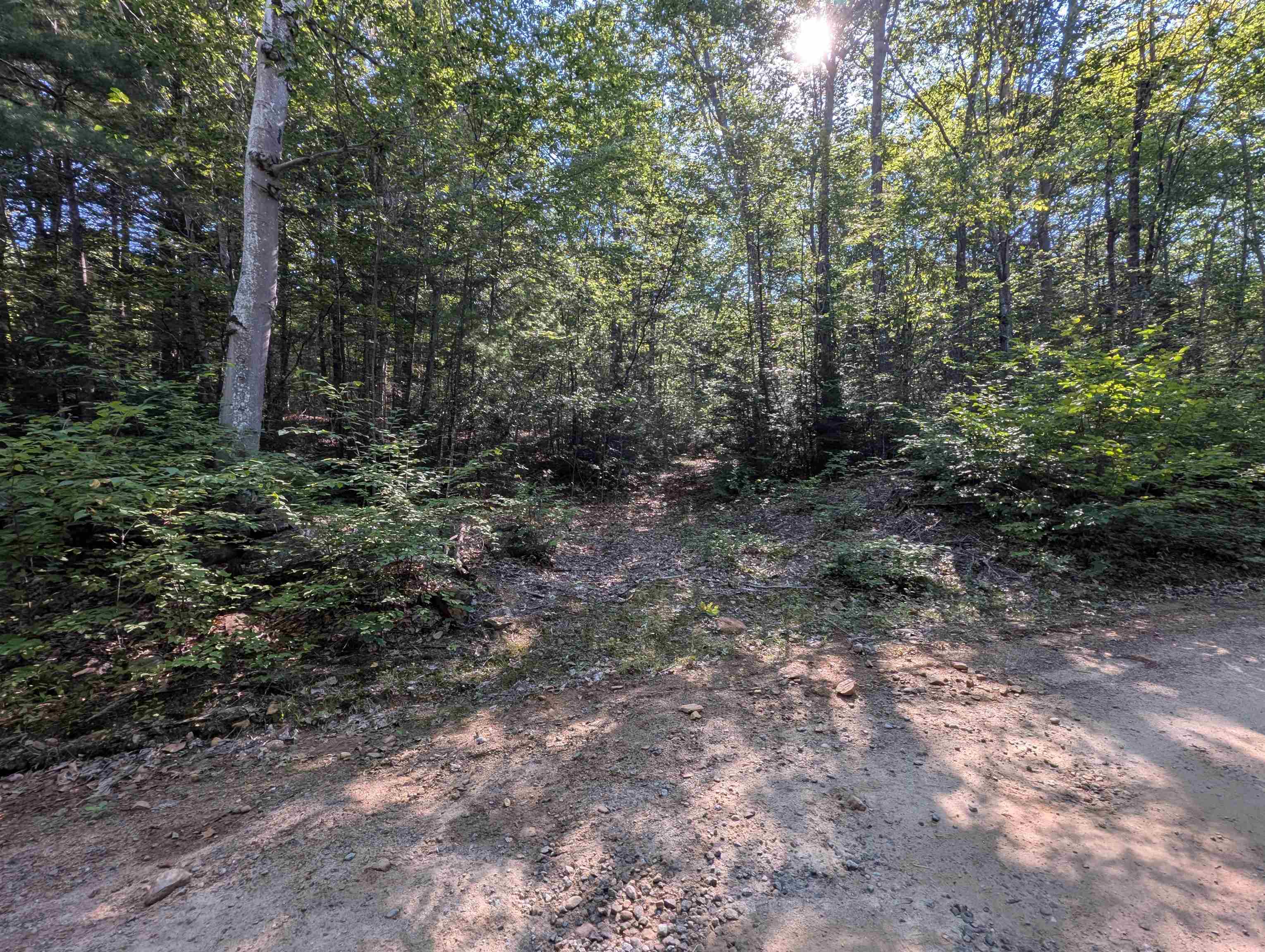 Map 41 Lot 25 Jewett Road Property Photo 1