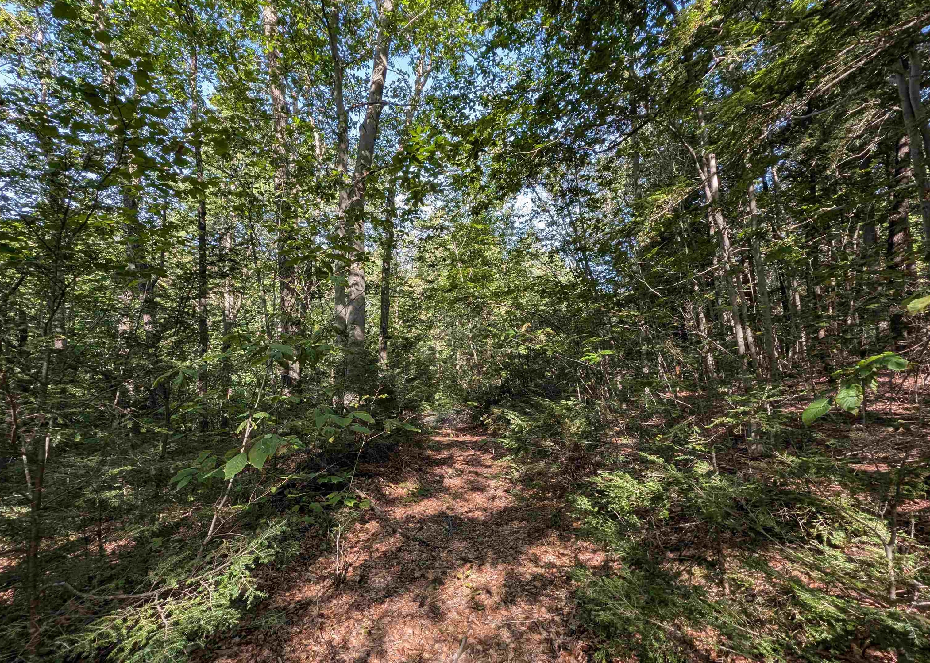 Map 41 Lot 25 Jewett Road Property Photo 2