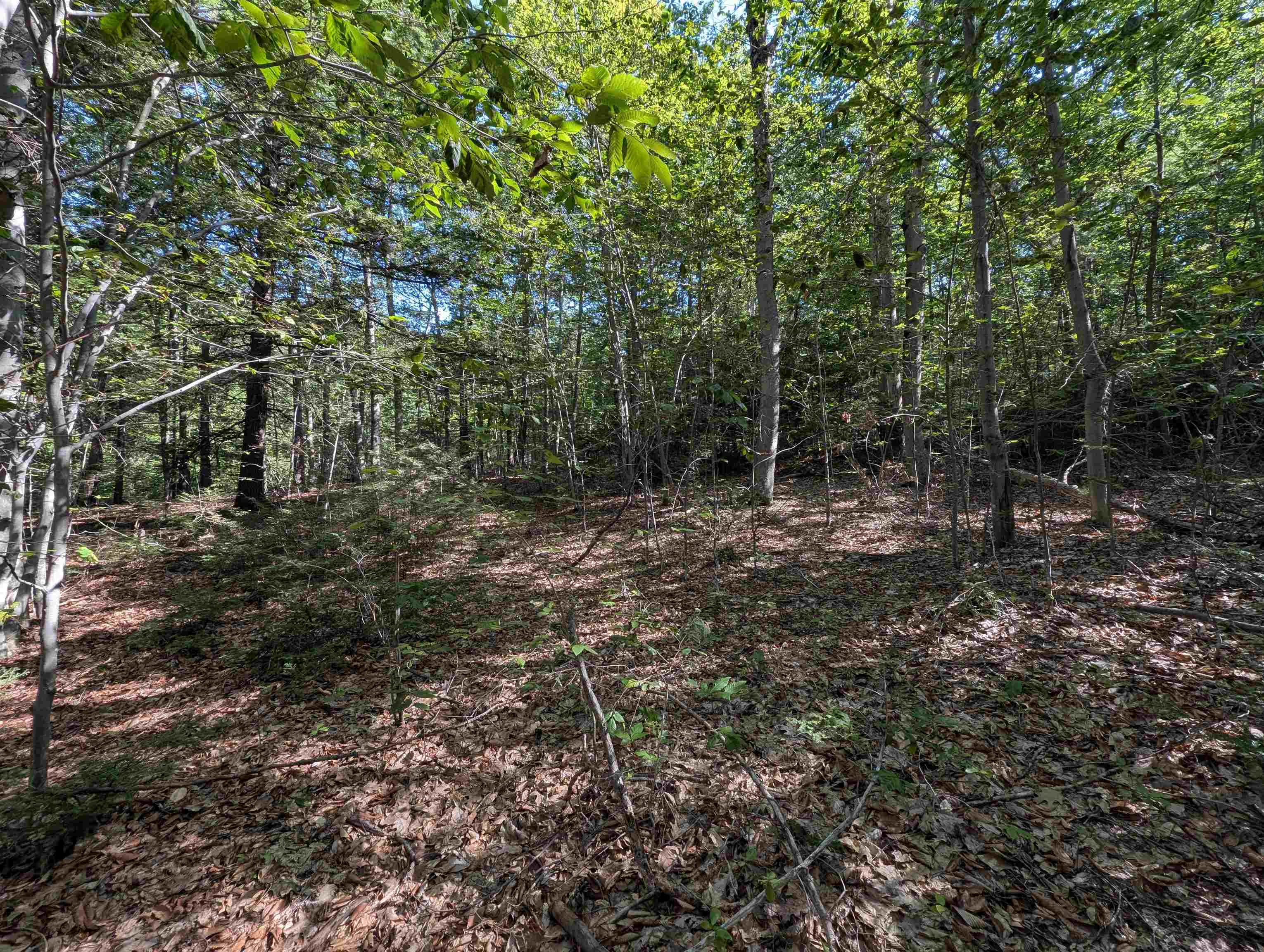 Map 41 Lot 25 Jewett Road Property Photo 4