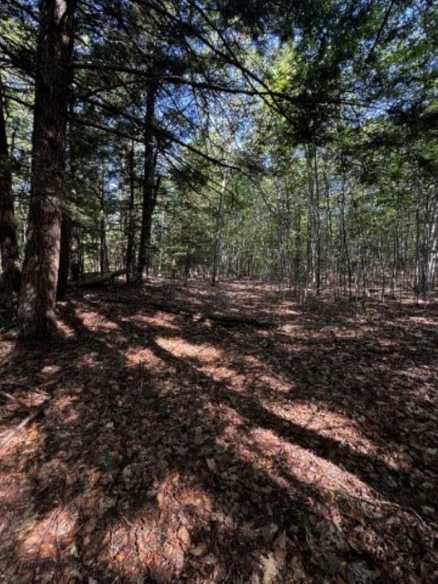 Map 41 Lot 25 Jewett Road Property Photo 5