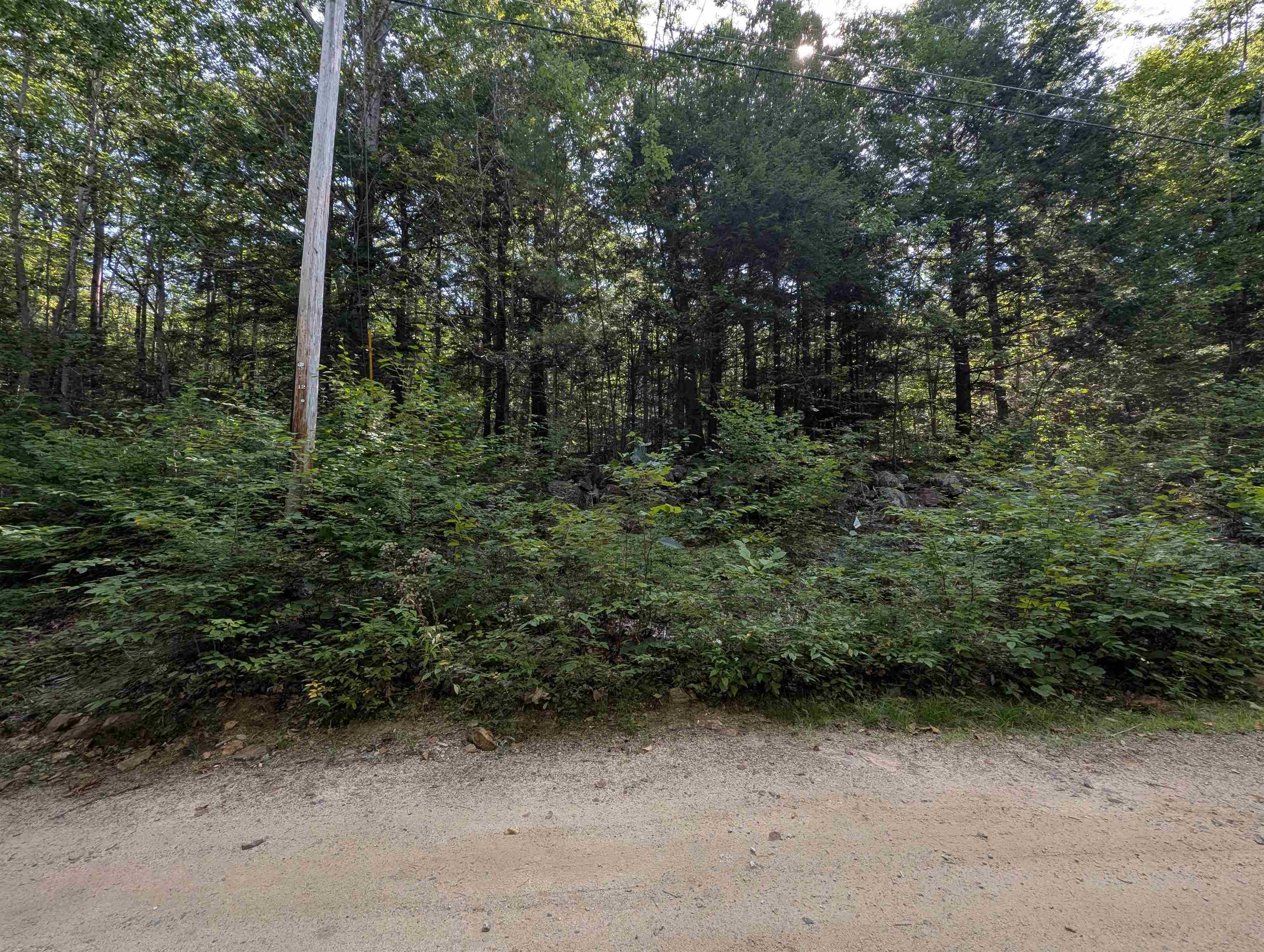 Map 41 Lot 25 Jewett Road Property Photo 7