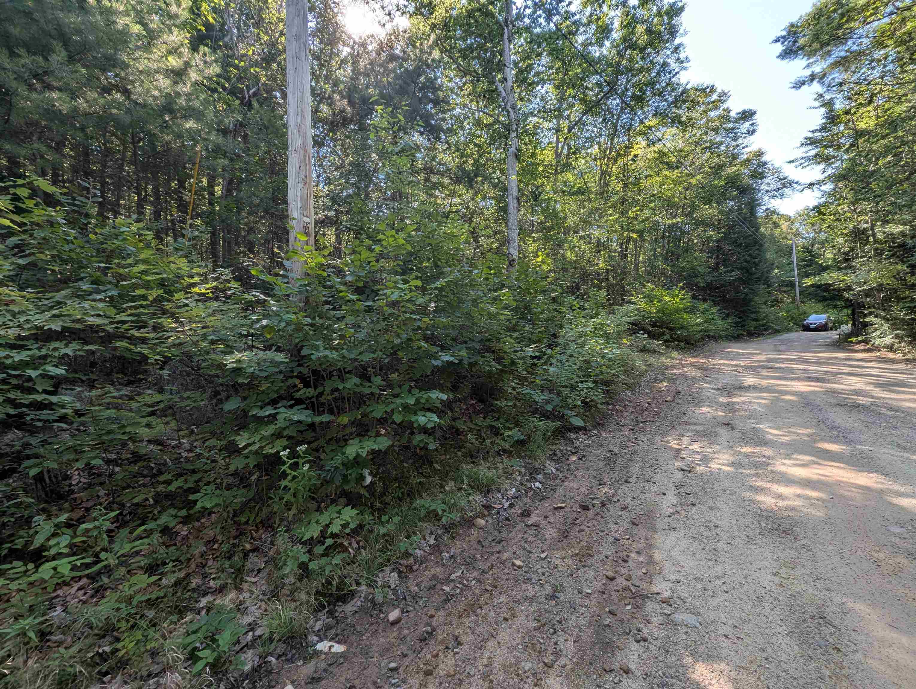 Map 41 Lot 25 Jewett Road Property Photo 8