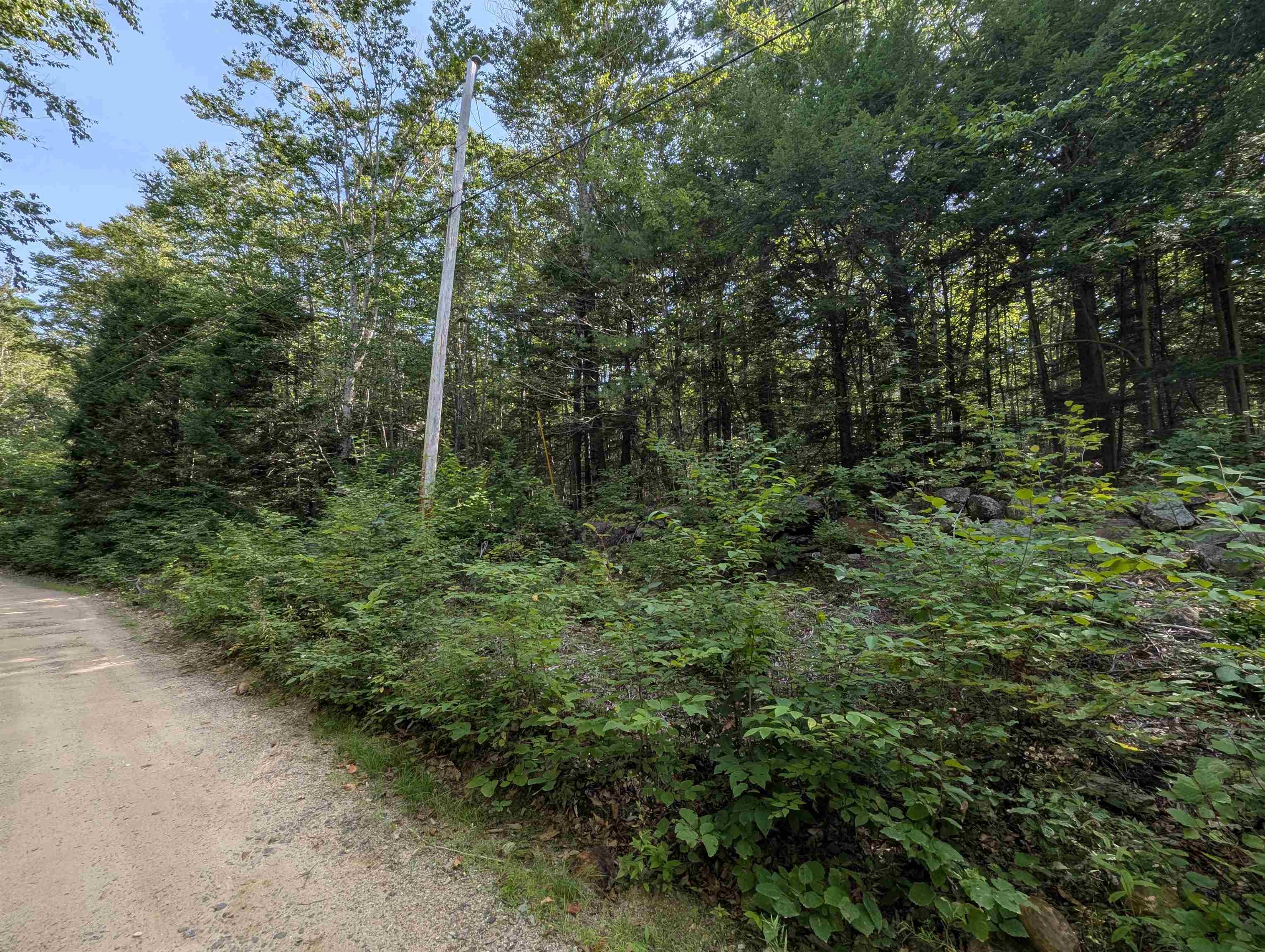 Map 41 Lot 25 Jewett Road Property Photo 9