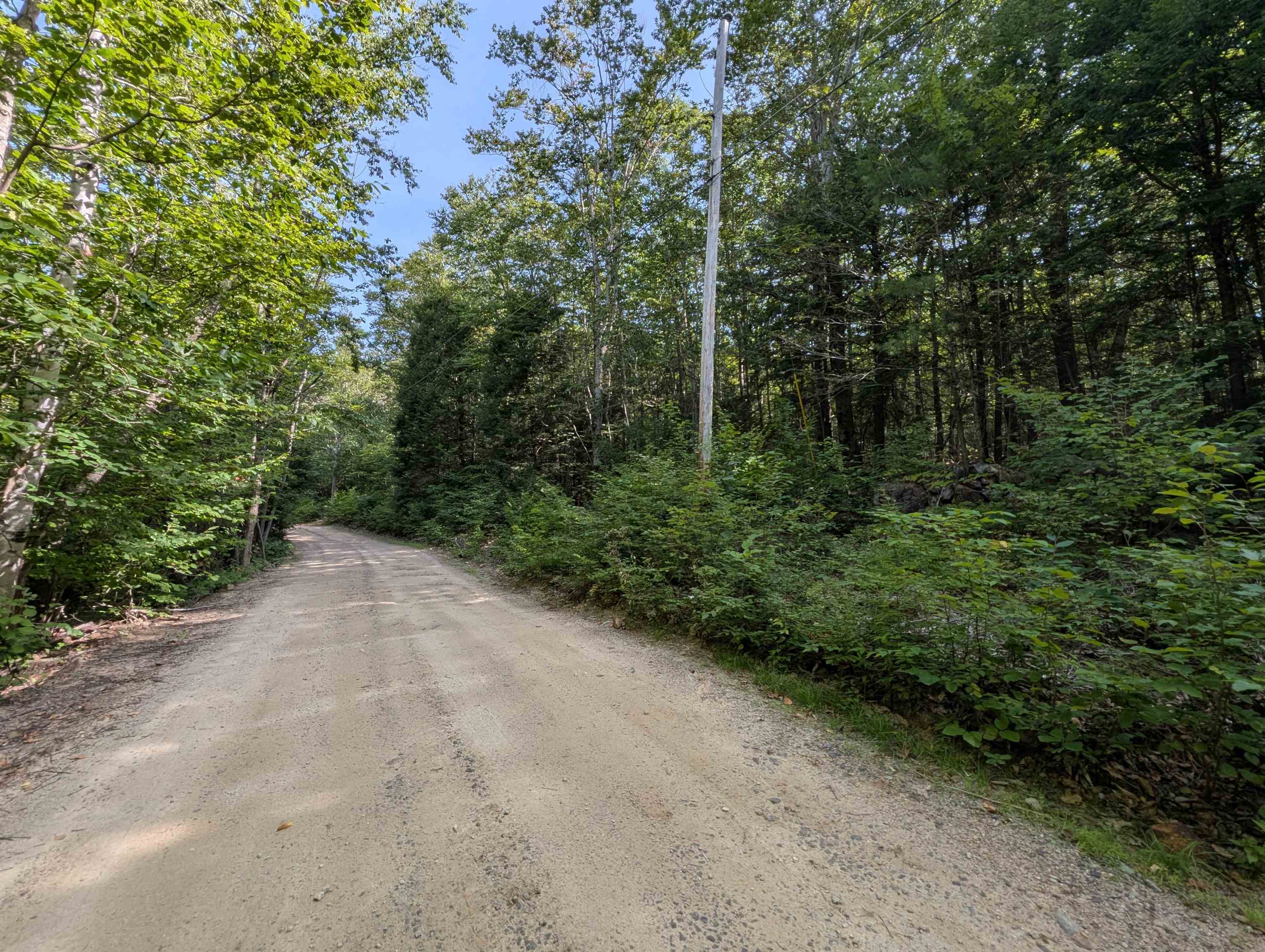 Map 41 Lot 25 Jewett Road Property Photo 10