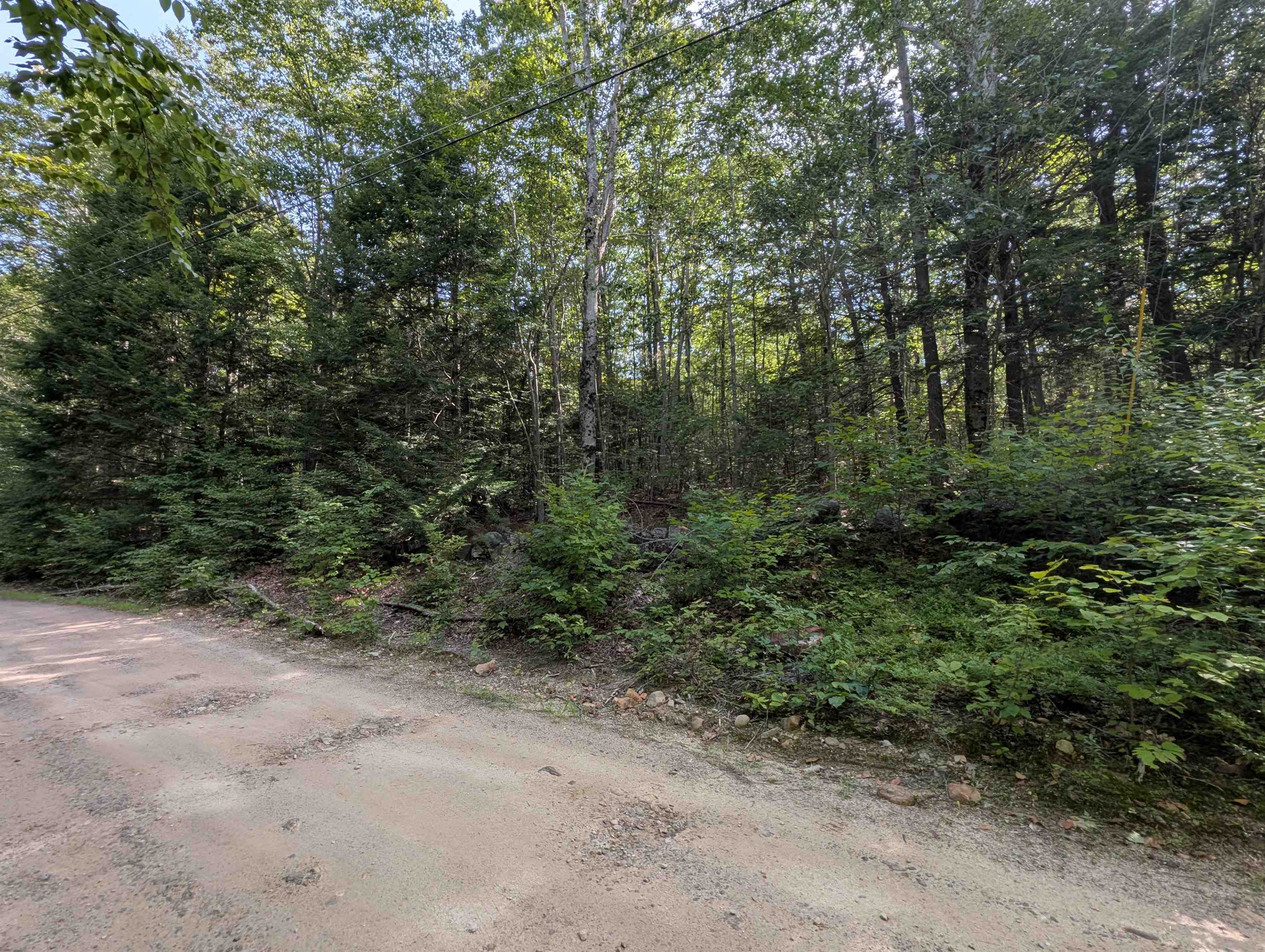 Map 41 Lot 25 Jewett Road Property Photo 11
