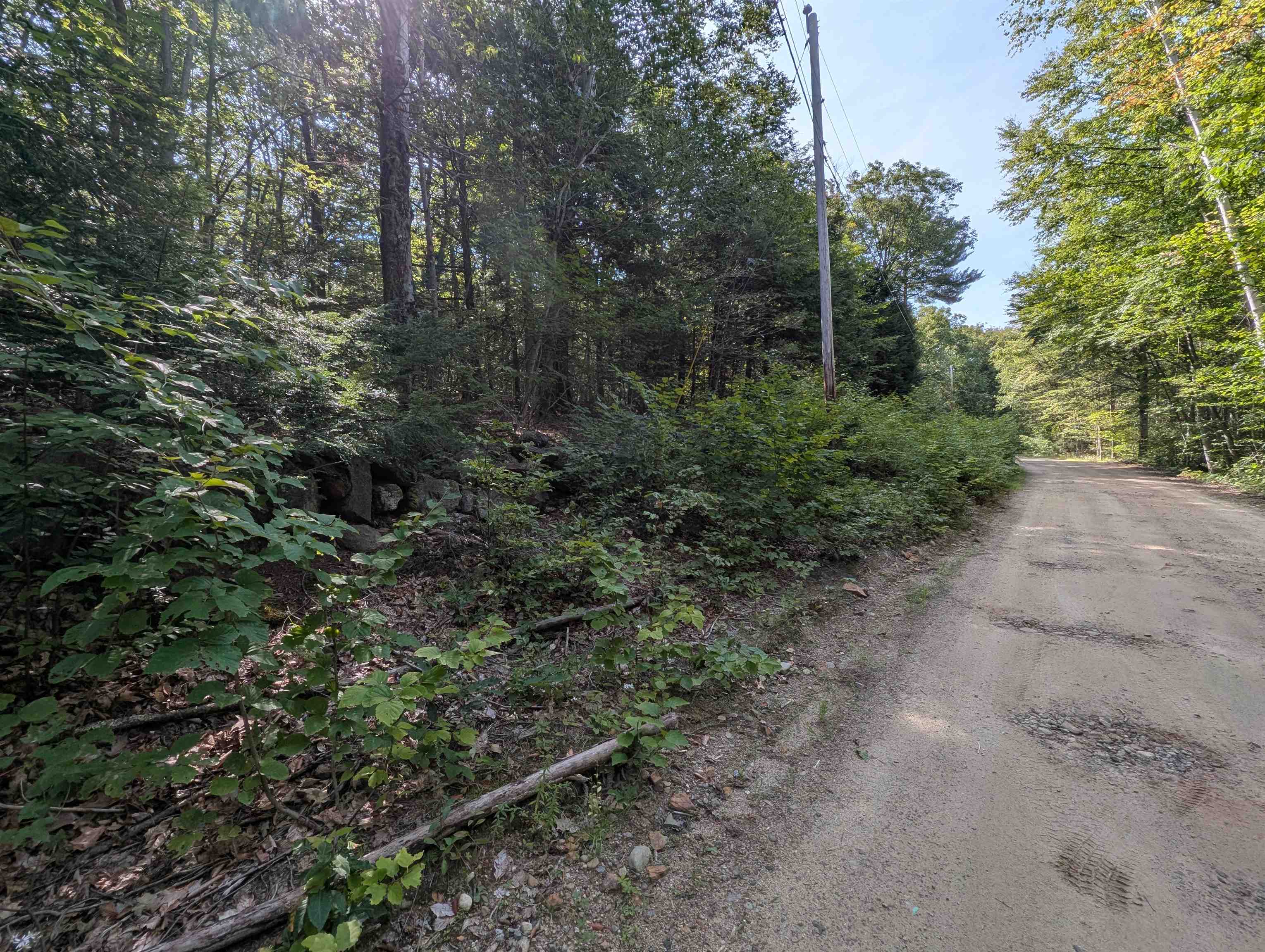 Map 41 Lot 25 Jewett Road Property Photo 12