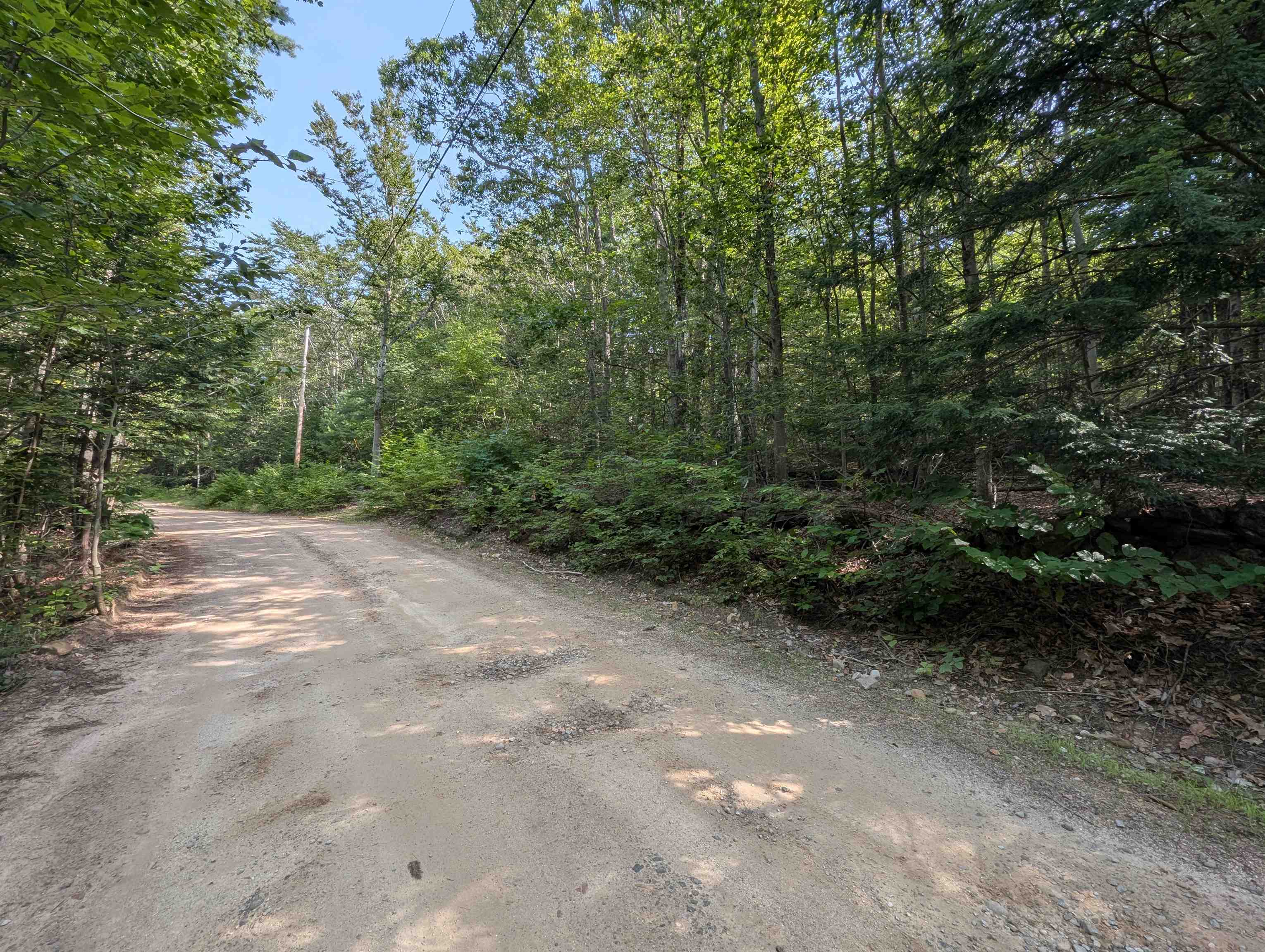 Map 41 Lot 25 Jewett Road Property Photo 13