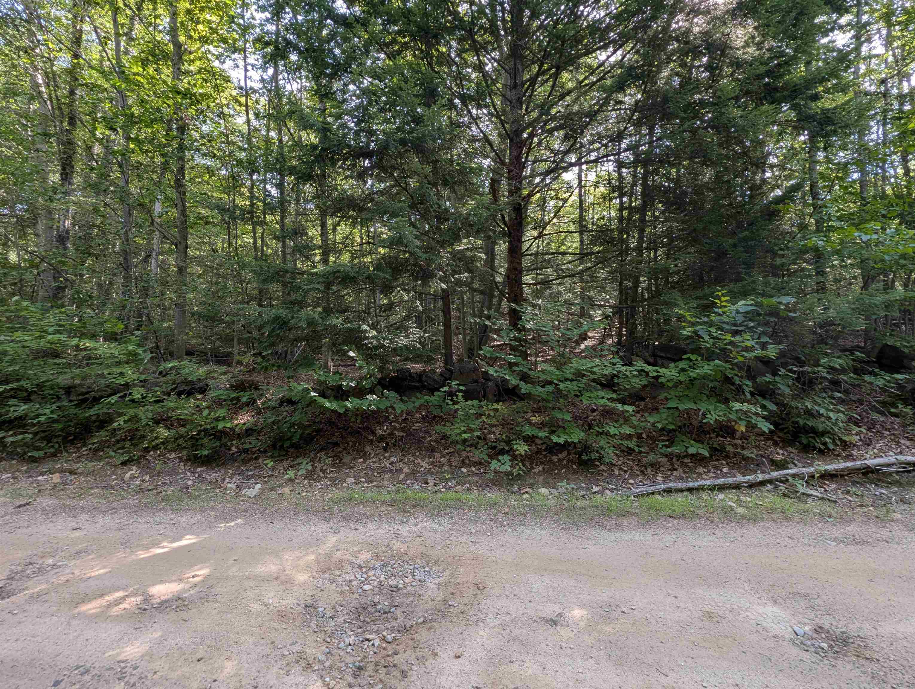 Map 41 Lot 25 Jewett Road Property Photo 14