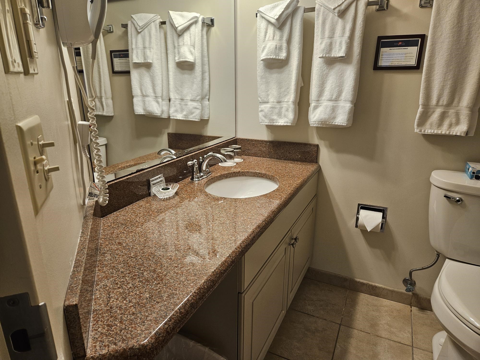 90 Loon Mountain Road Property Photo 9
