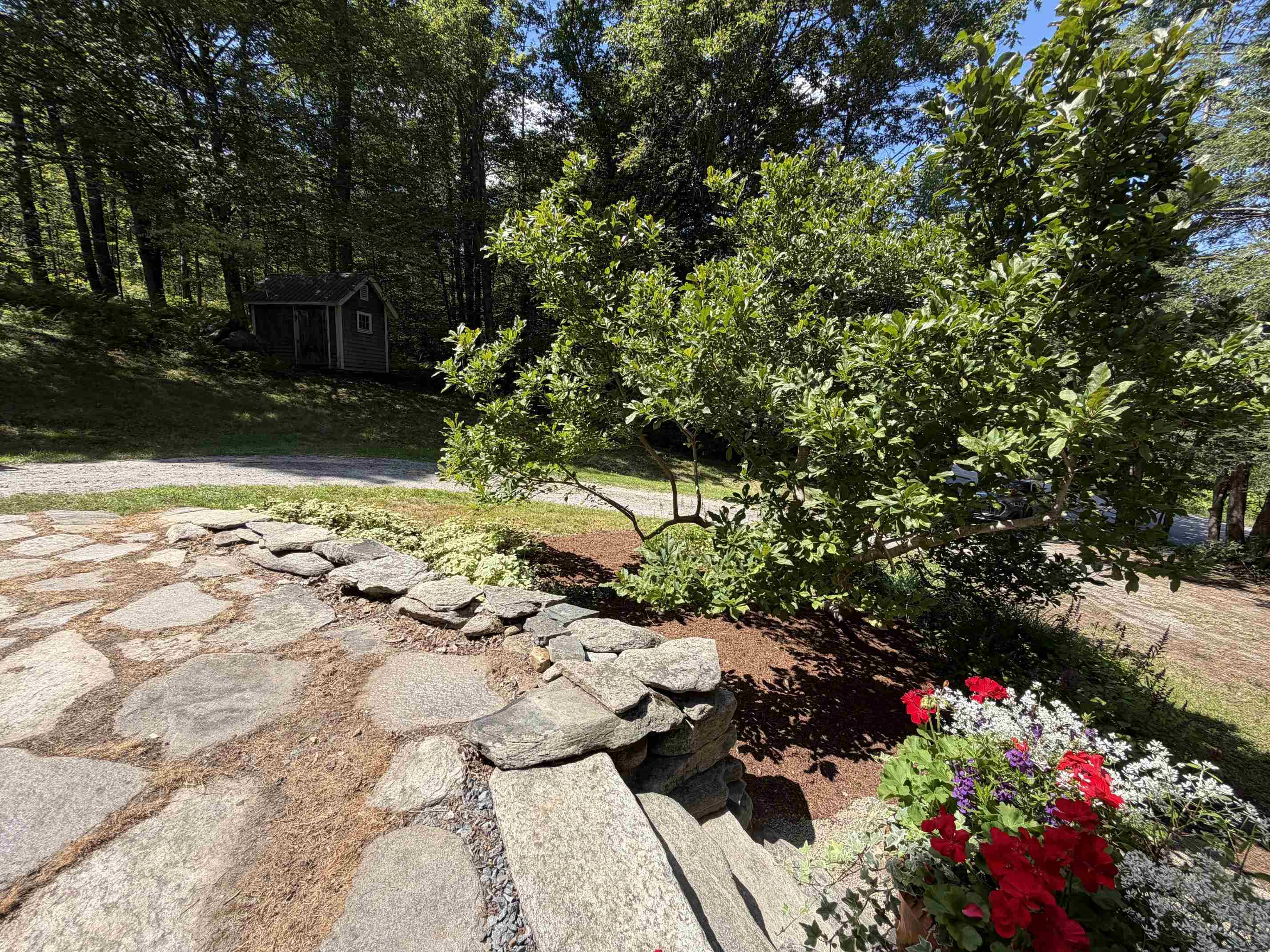 245 S. Wardsboro Road Property Photo 6