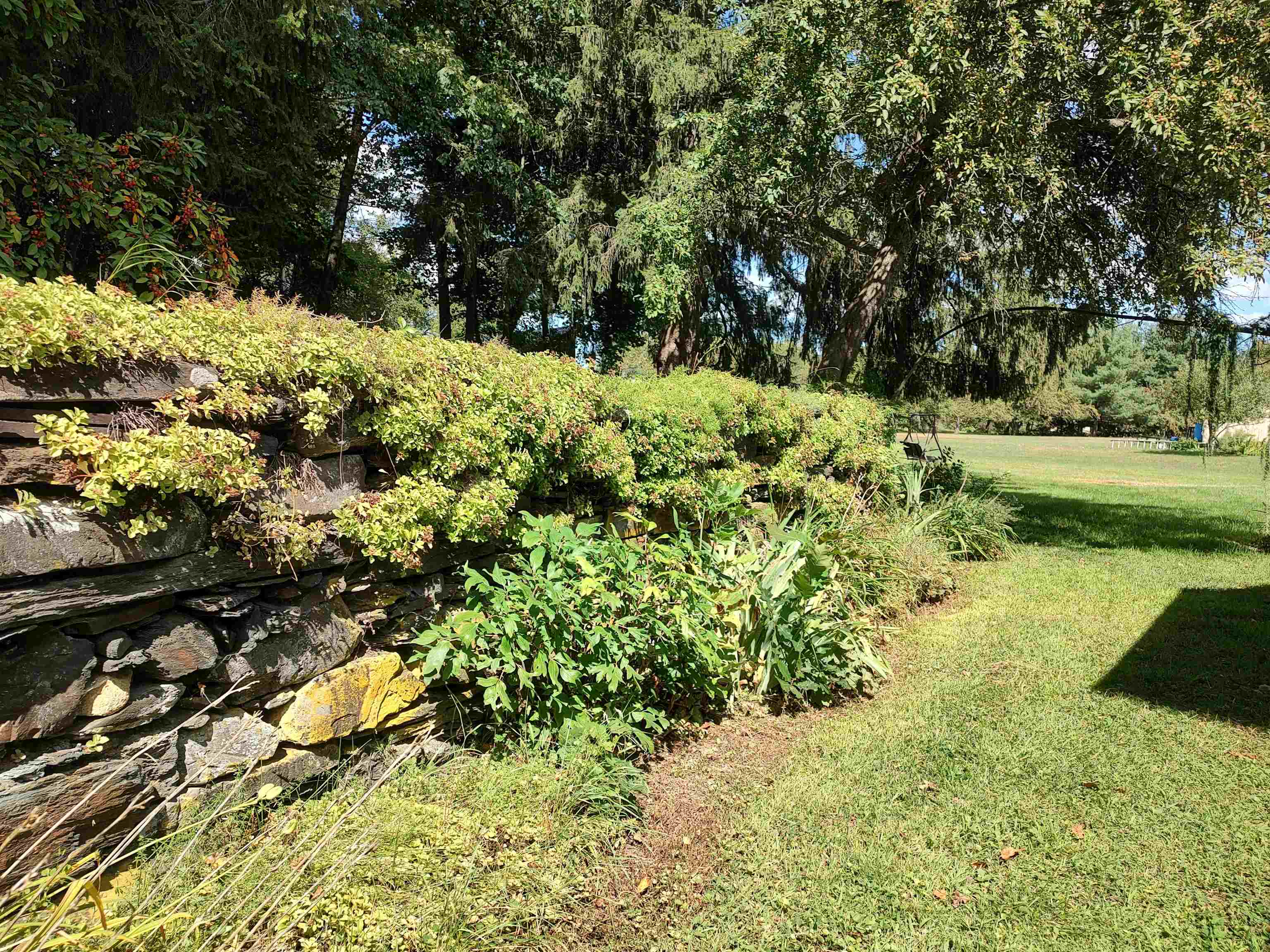 5 Greenhouse Avenue Property Photo 31