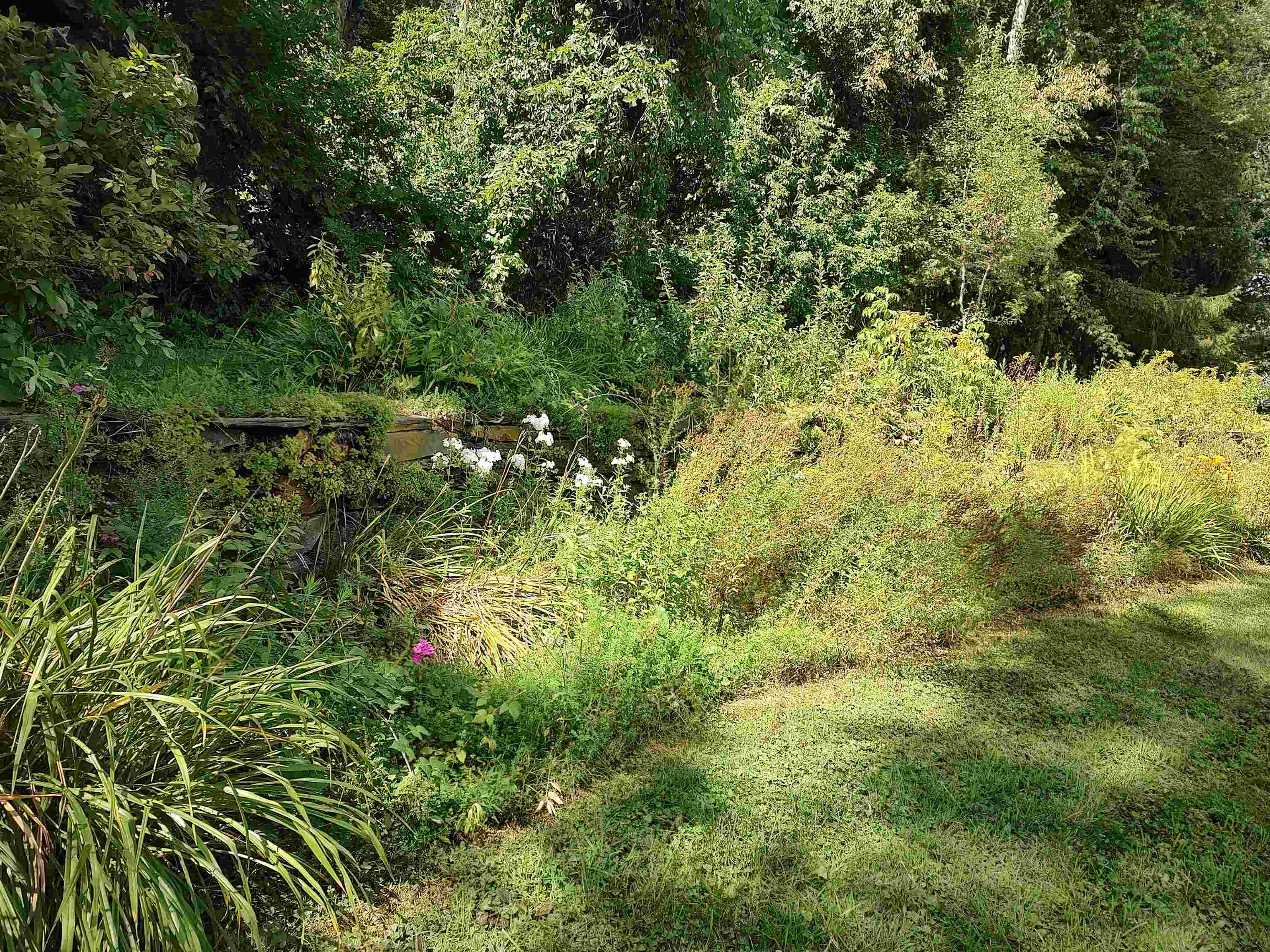 5 Greenhouse Avenue Property Photo 32