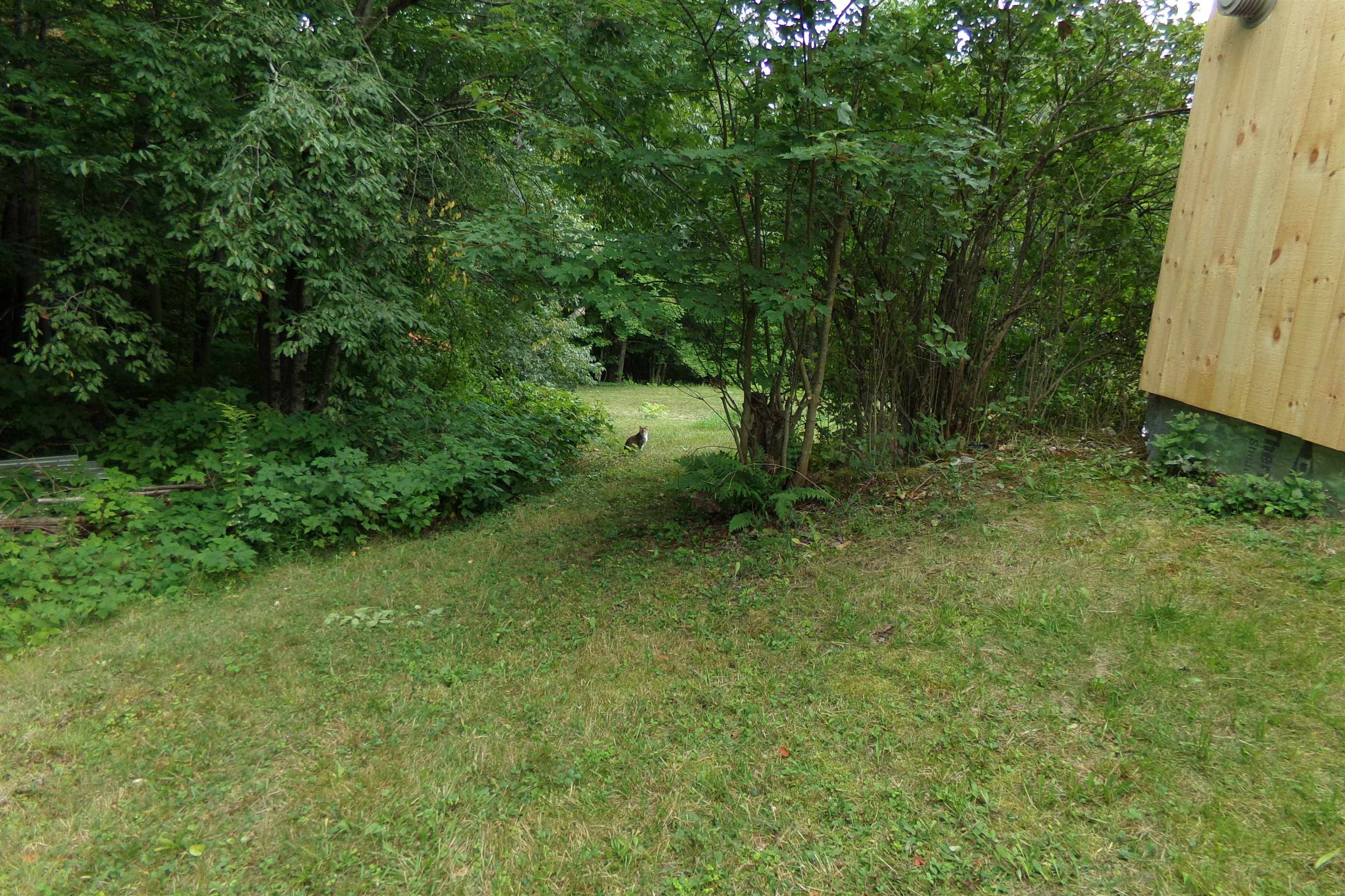 16 Keenan Pond Road Property Photo 5