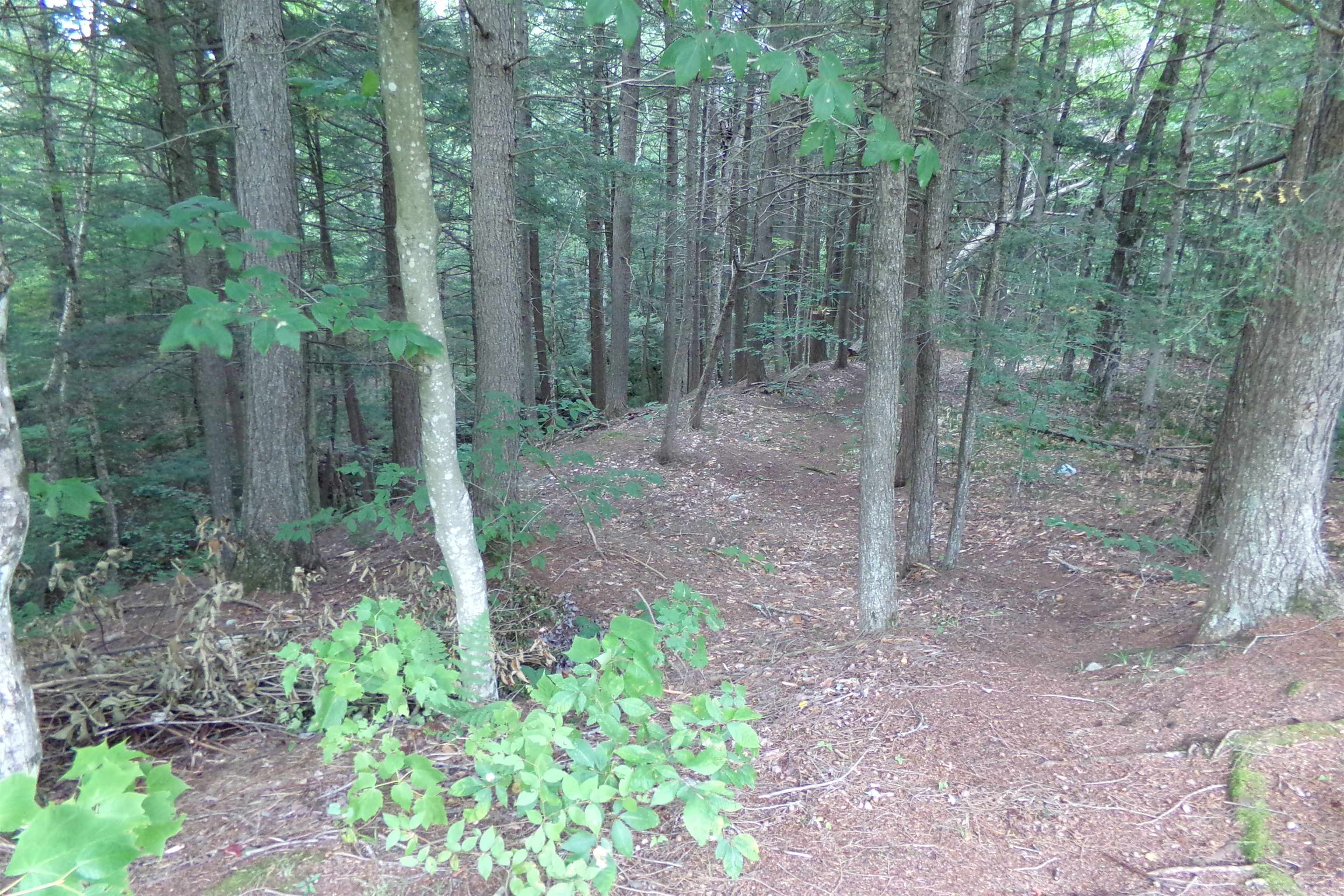 16 Keenan Pond Road Property Photo 44