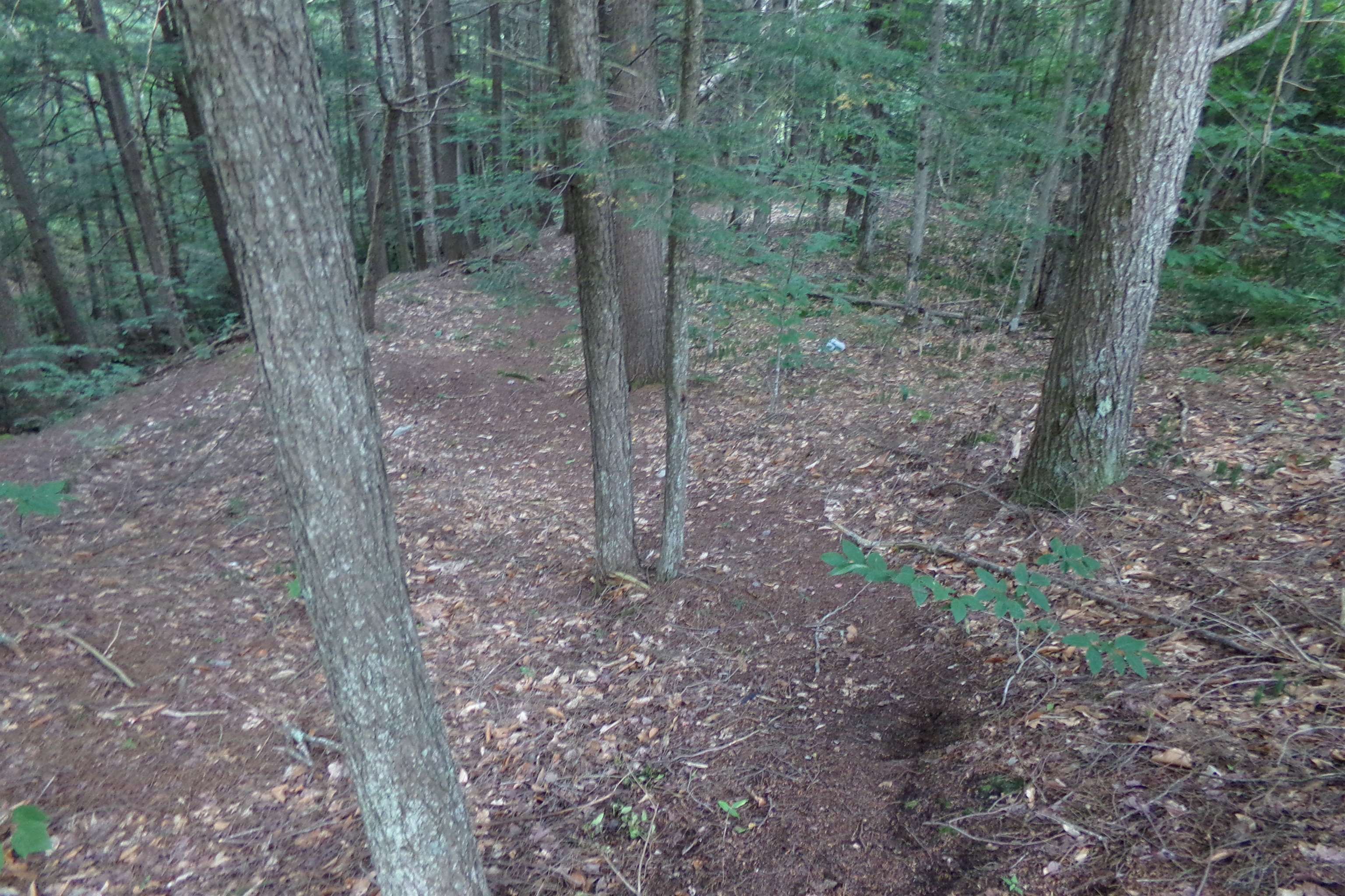 16 Keenan Pond Road Property Photo 45