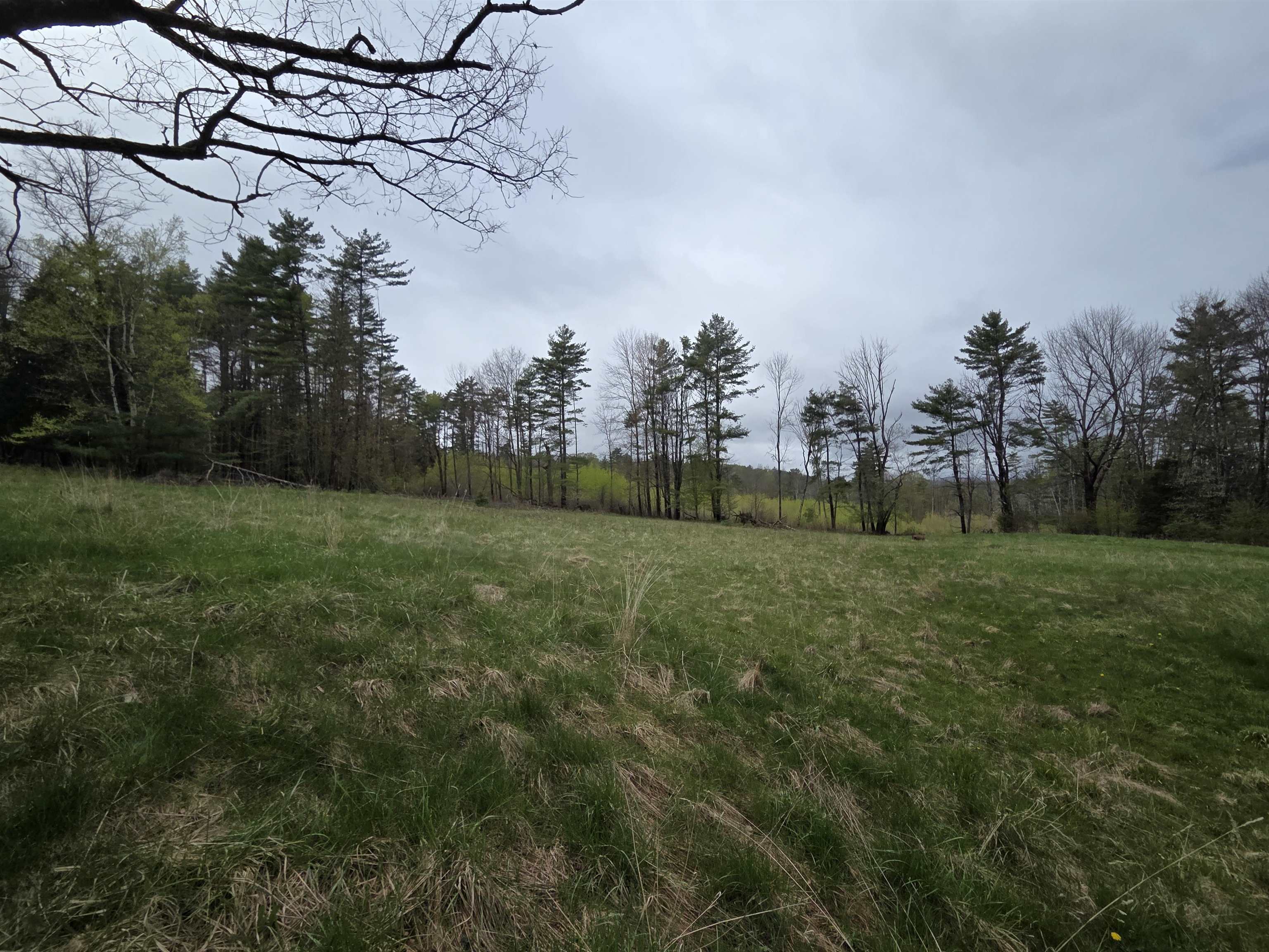 188 Goose Pond Road Property Photo 53