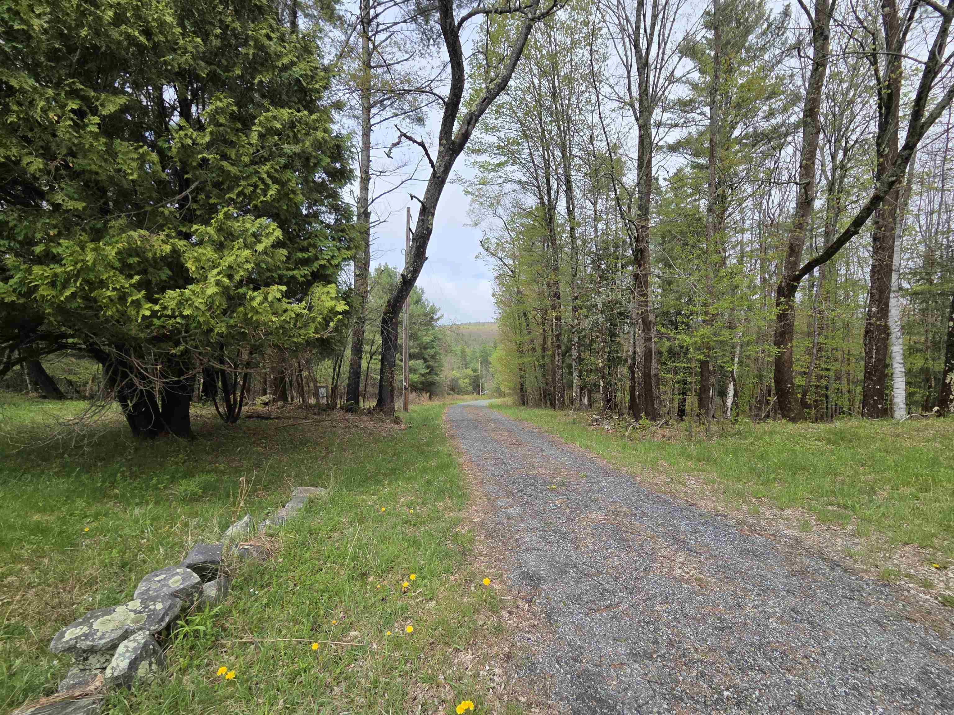 188 Goose Pond Road Property Photo 54