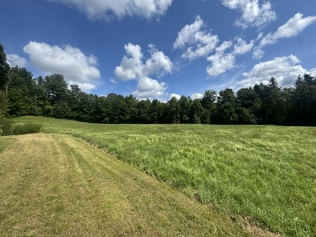 317 Auld Lang Syne Road Property Photo 28