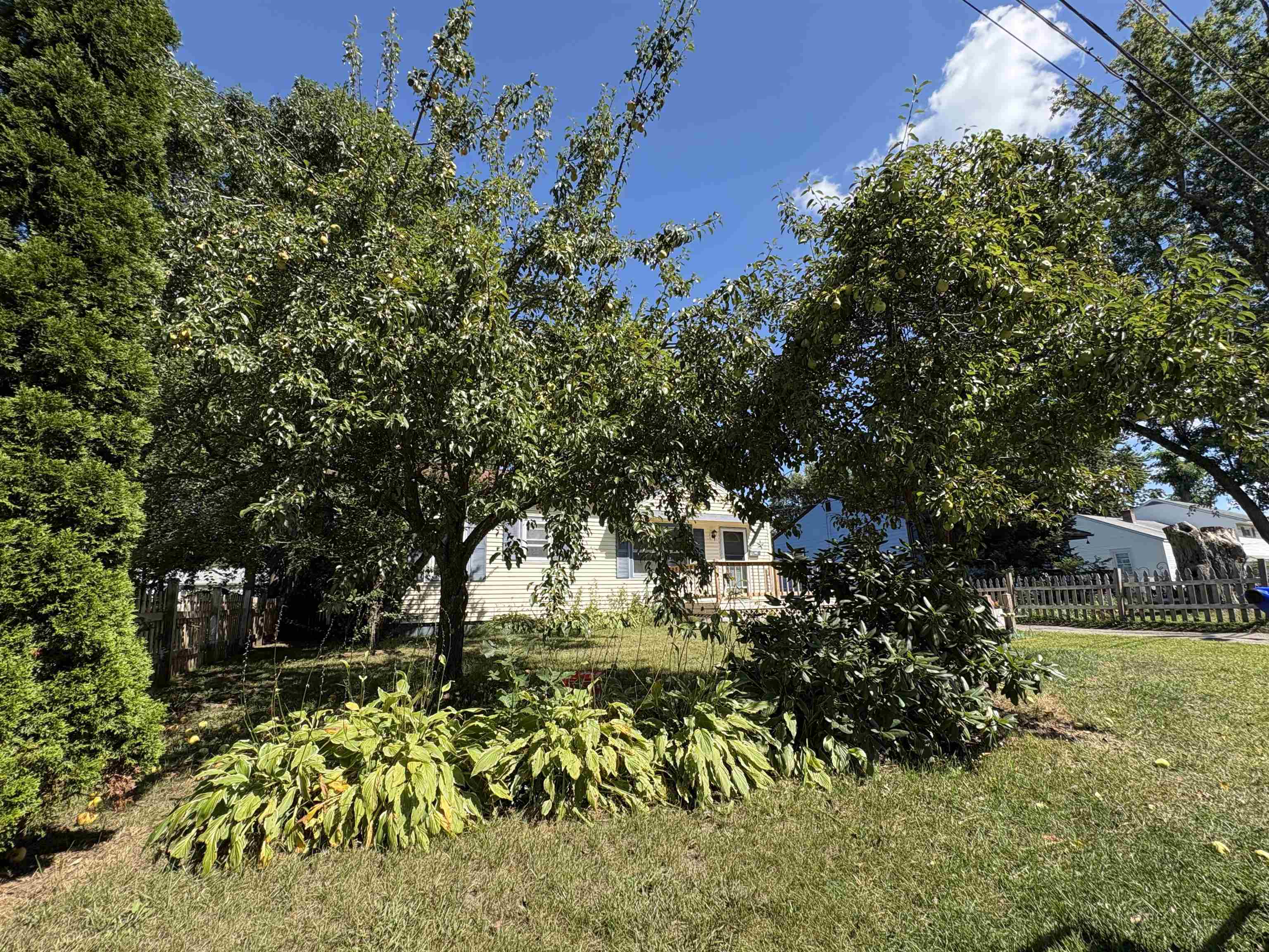11 Mohawk Avenue Property Photo 2